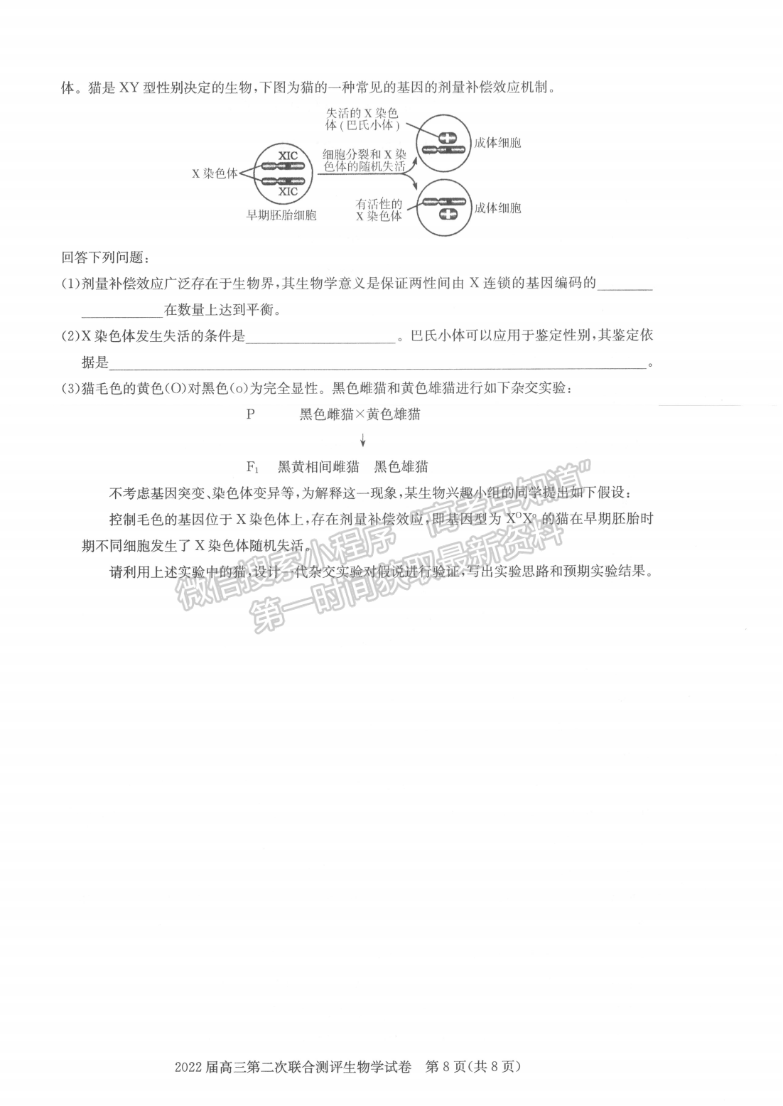 2022湖北圓創(chuàng)高三2月聯(lián)考生物試卷及答案