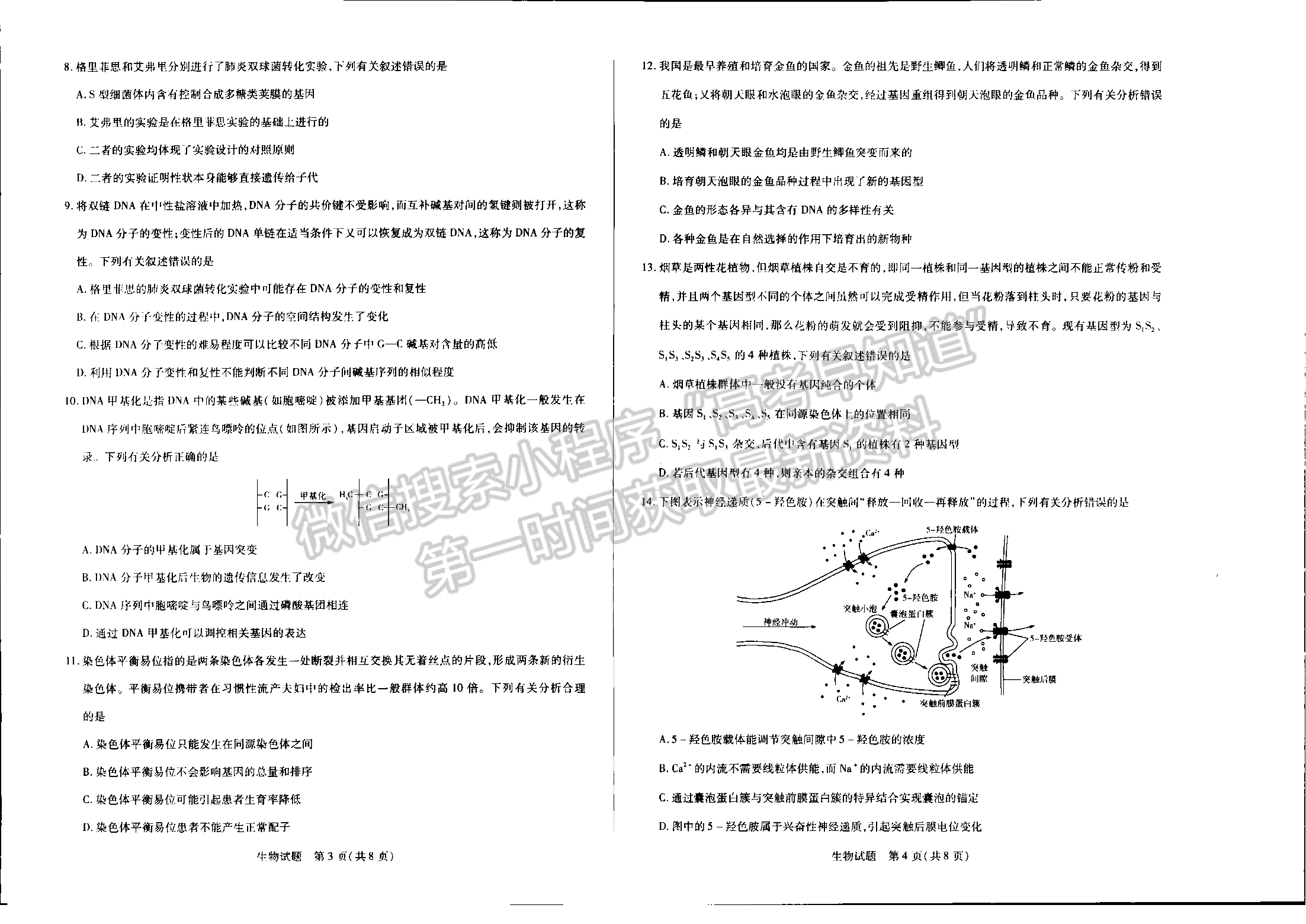 2022河南濮陽高三下學(xué)期開學(xué)摸底考理綜試卷及參考答案