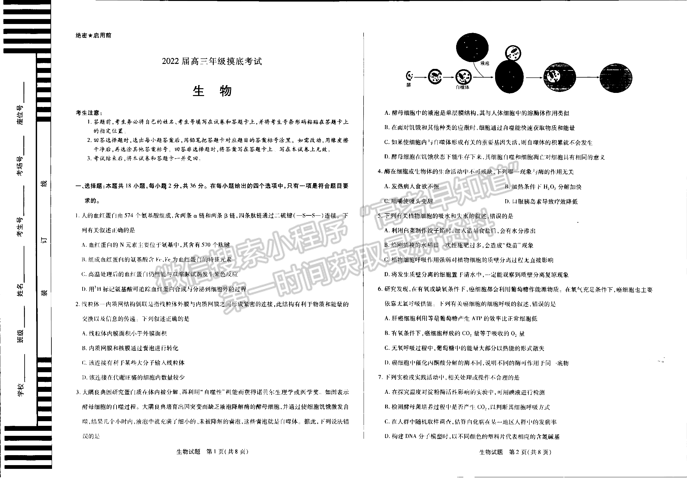 2022河南濮陽高三下學(xué)期開學(xué)摸底考理綜試卷及參考答案