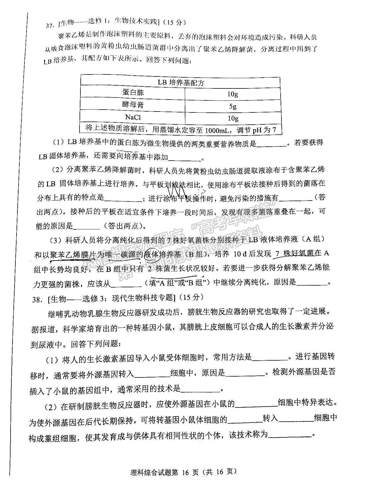 2022四川省2019級高中畢業(yè)班診斷性檢測理科綜合試題及答案