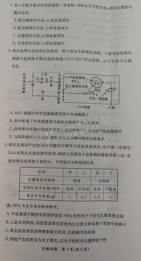 2021-2022學年湖南省名校聯考聯合體高二元月期末考生物試題及答案