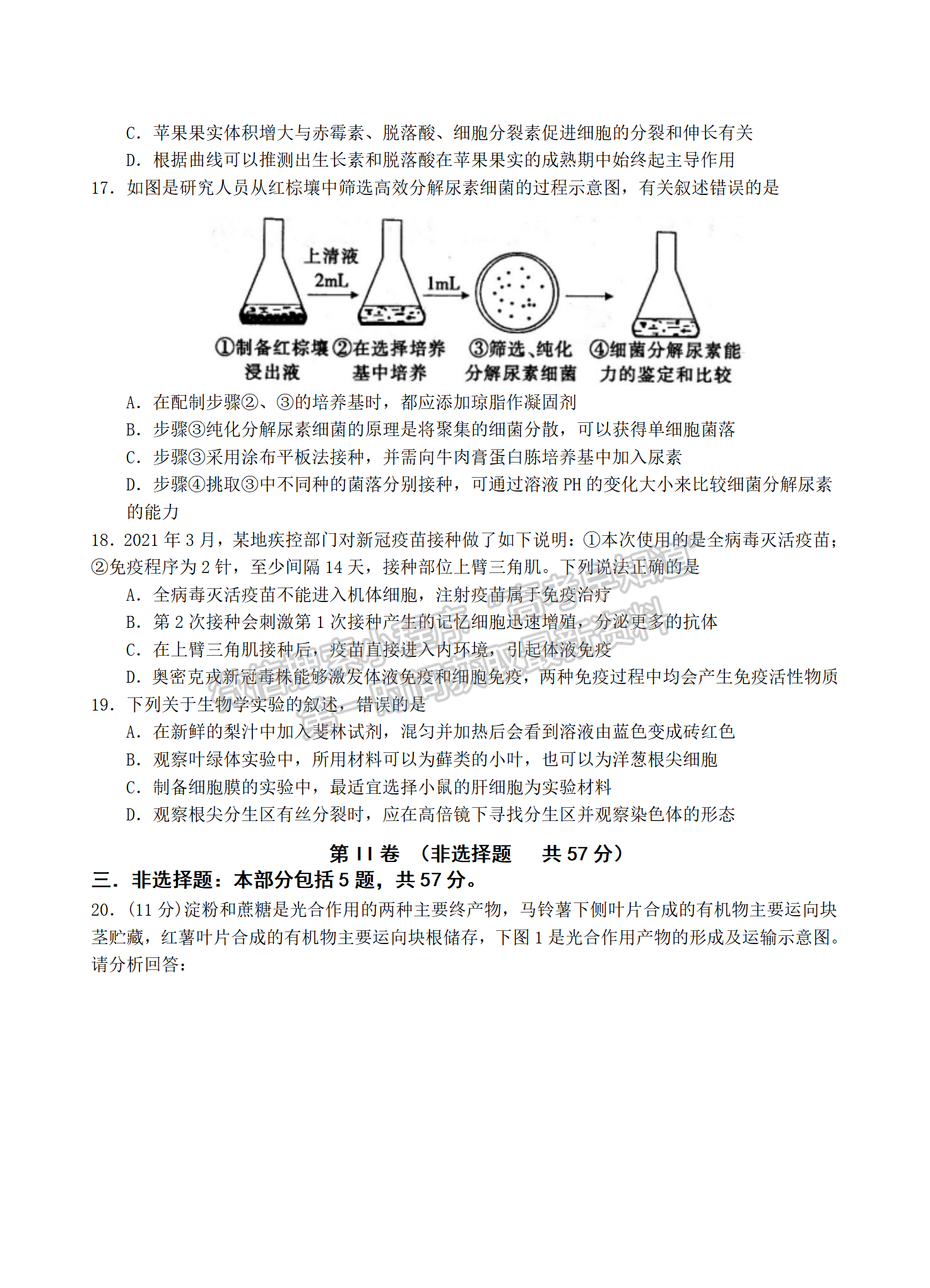 2022屆江蘇省南京市六校聯(lián)合體高三下學(xué)期期初調(diào)研測(cè)試生物試題及答案