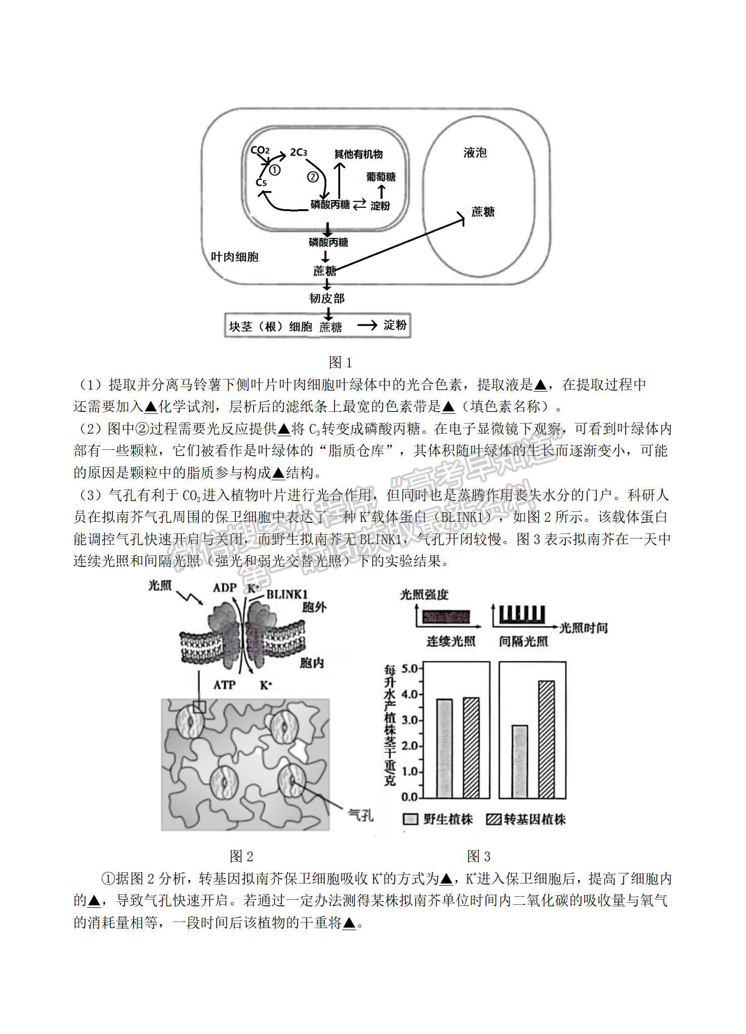 2022屆江蘇省南京市六校聯(lián)合體高三下學(xué)期期初調(diào)研測(cè)試生物試題及答案