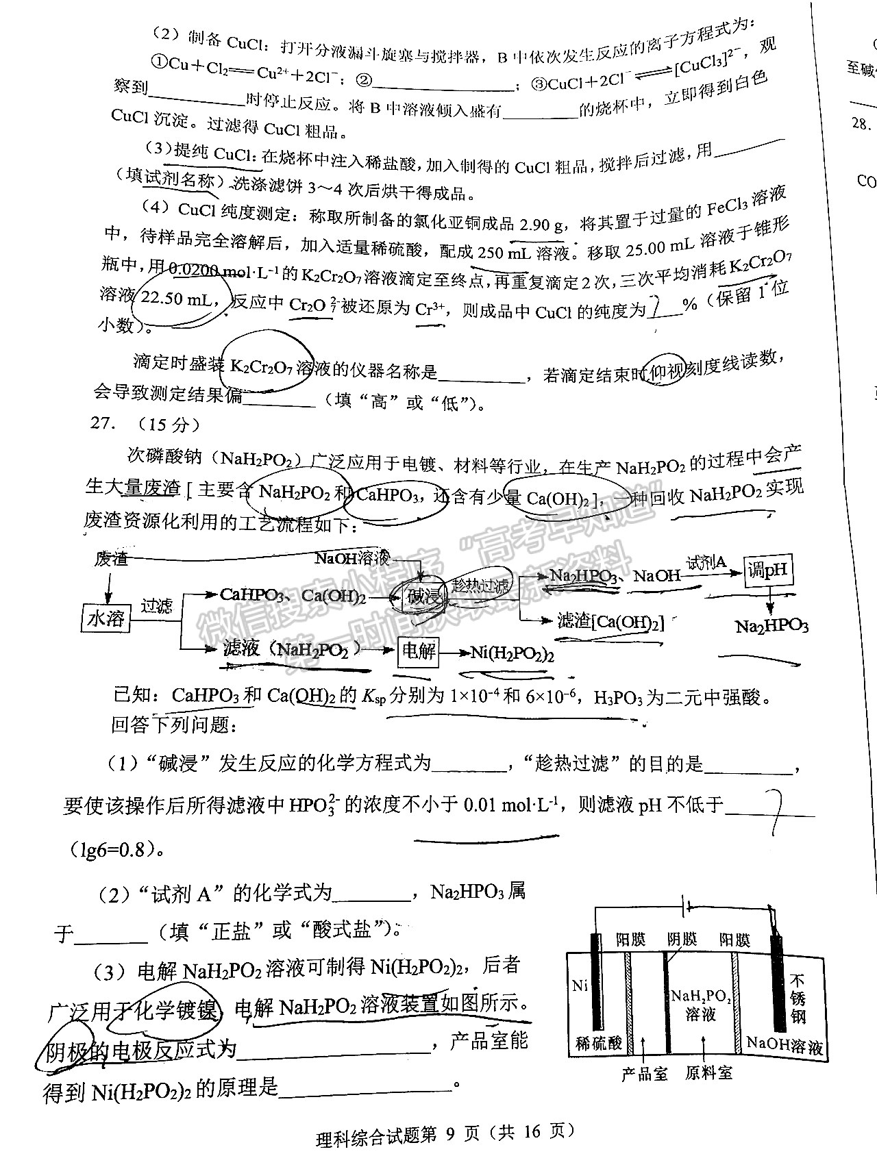 2022四川省2019級(jí)高中畢業(yè)班診斷性檢測(cè)理科綜合試題及答案