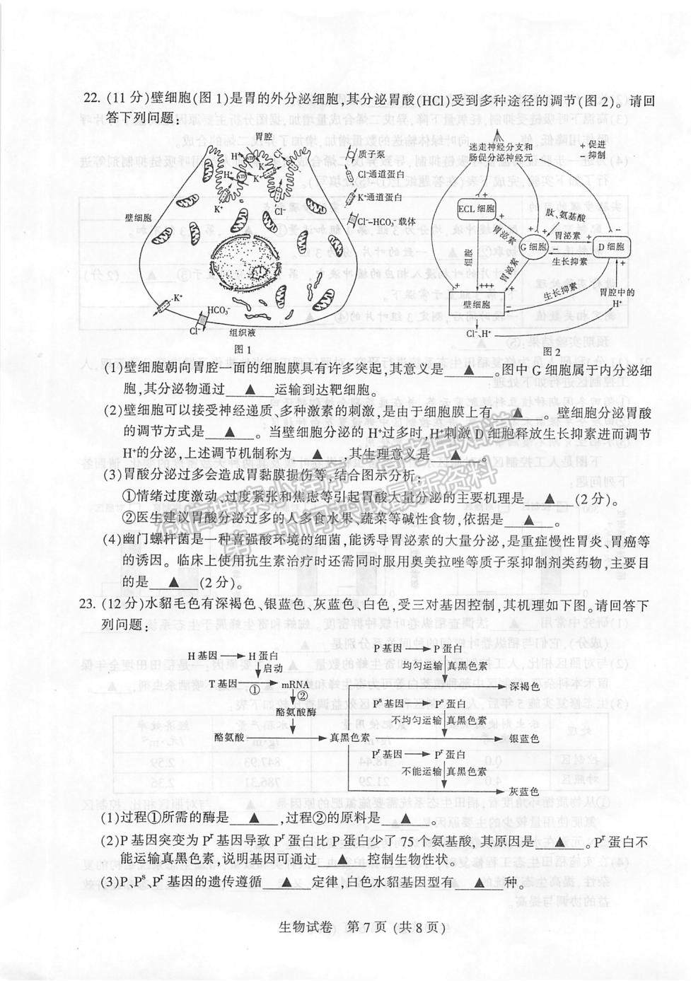 2022屆蘇北七市高三第一次調(diào)研（南通一模）生物試題及答案