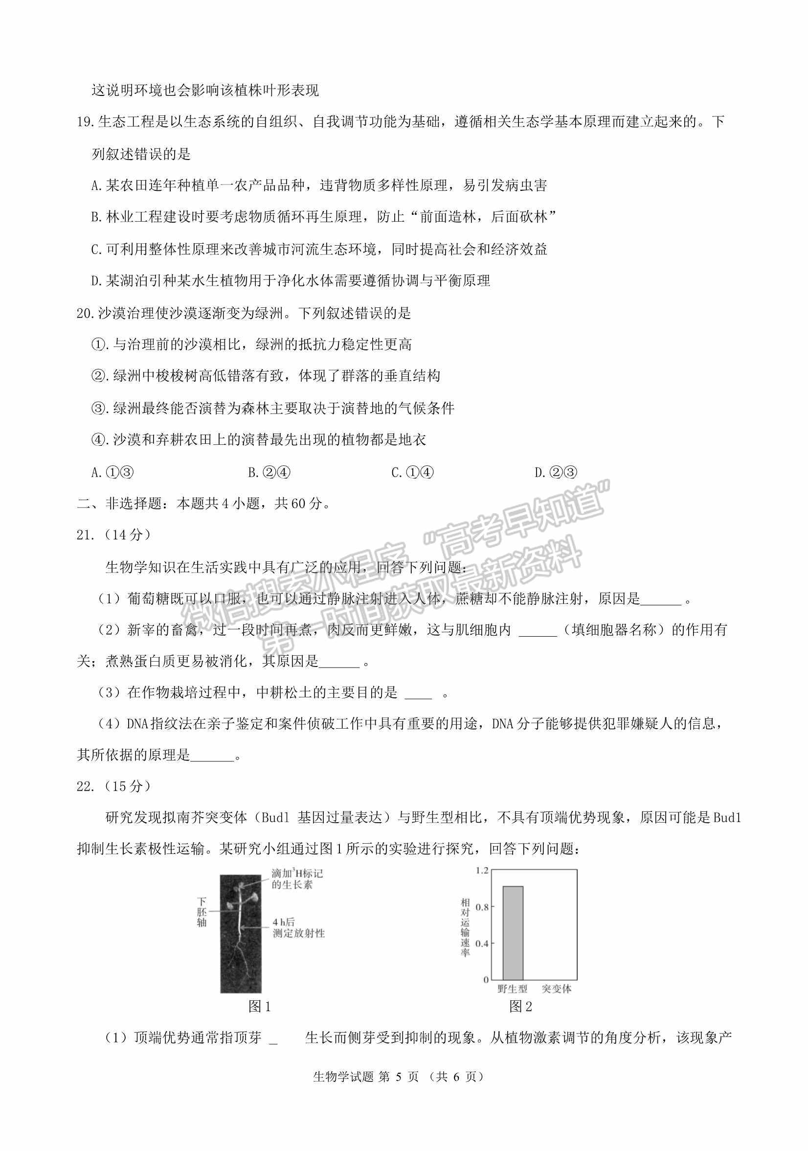 2022華大新高考聯(lián)盟開學(xué)考試收心卷（廣東卷）生物試卷及答案