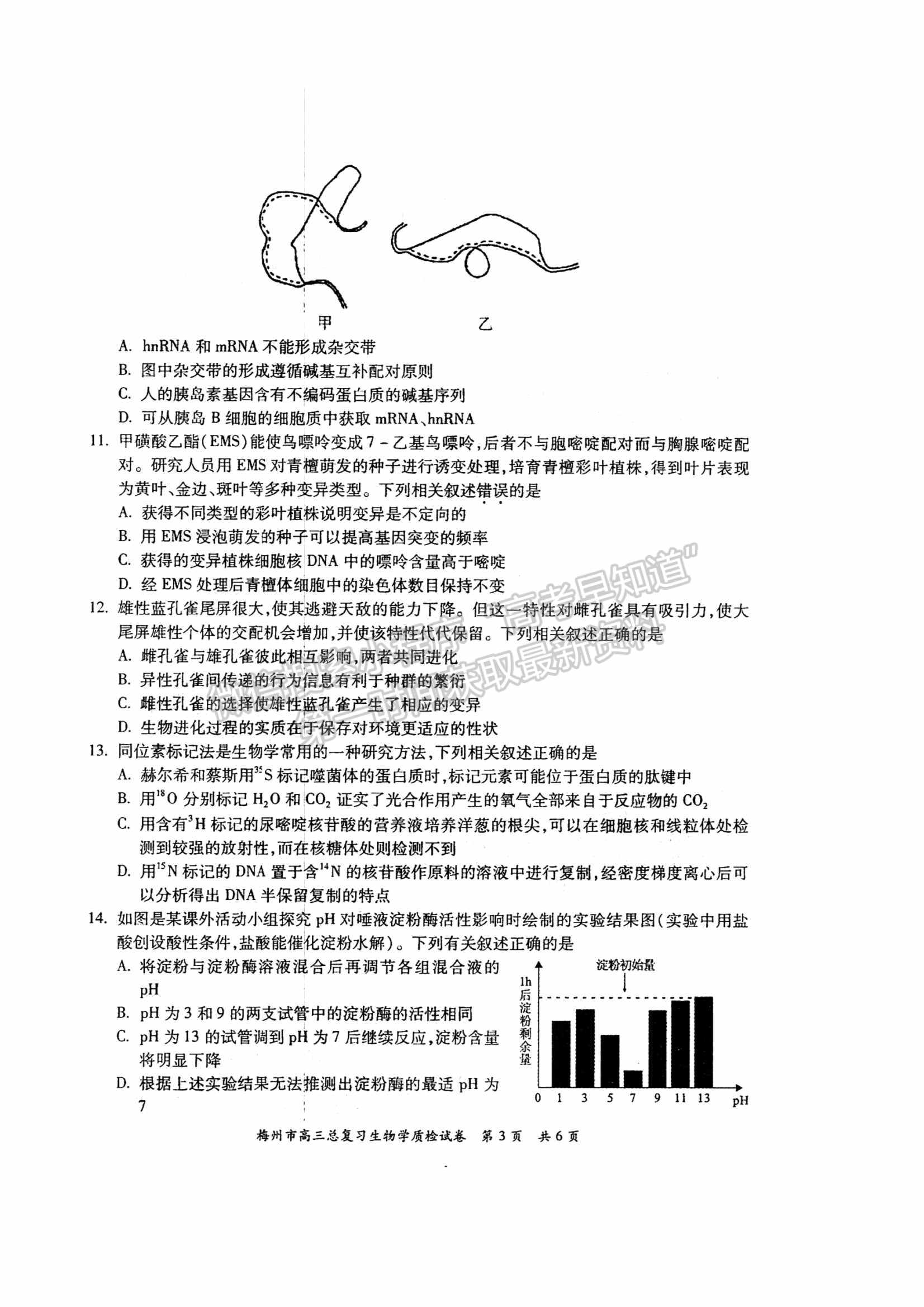 2022梅州一模生物試題及參考答案