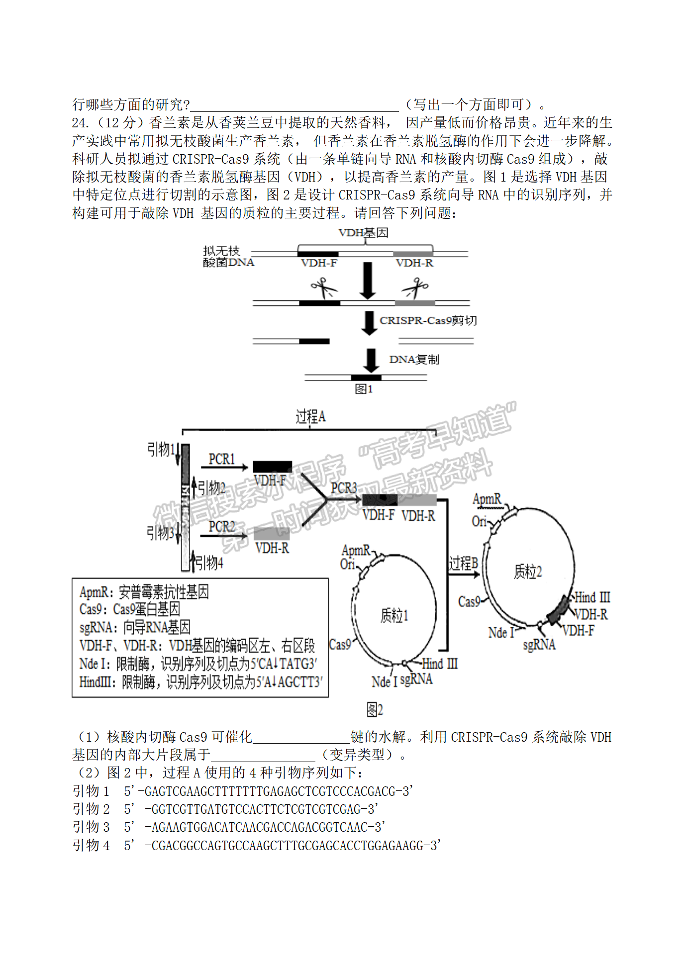 2022屆江蘇揚州高郵市高三下學期期初學情調(diào)研生物試題及答案