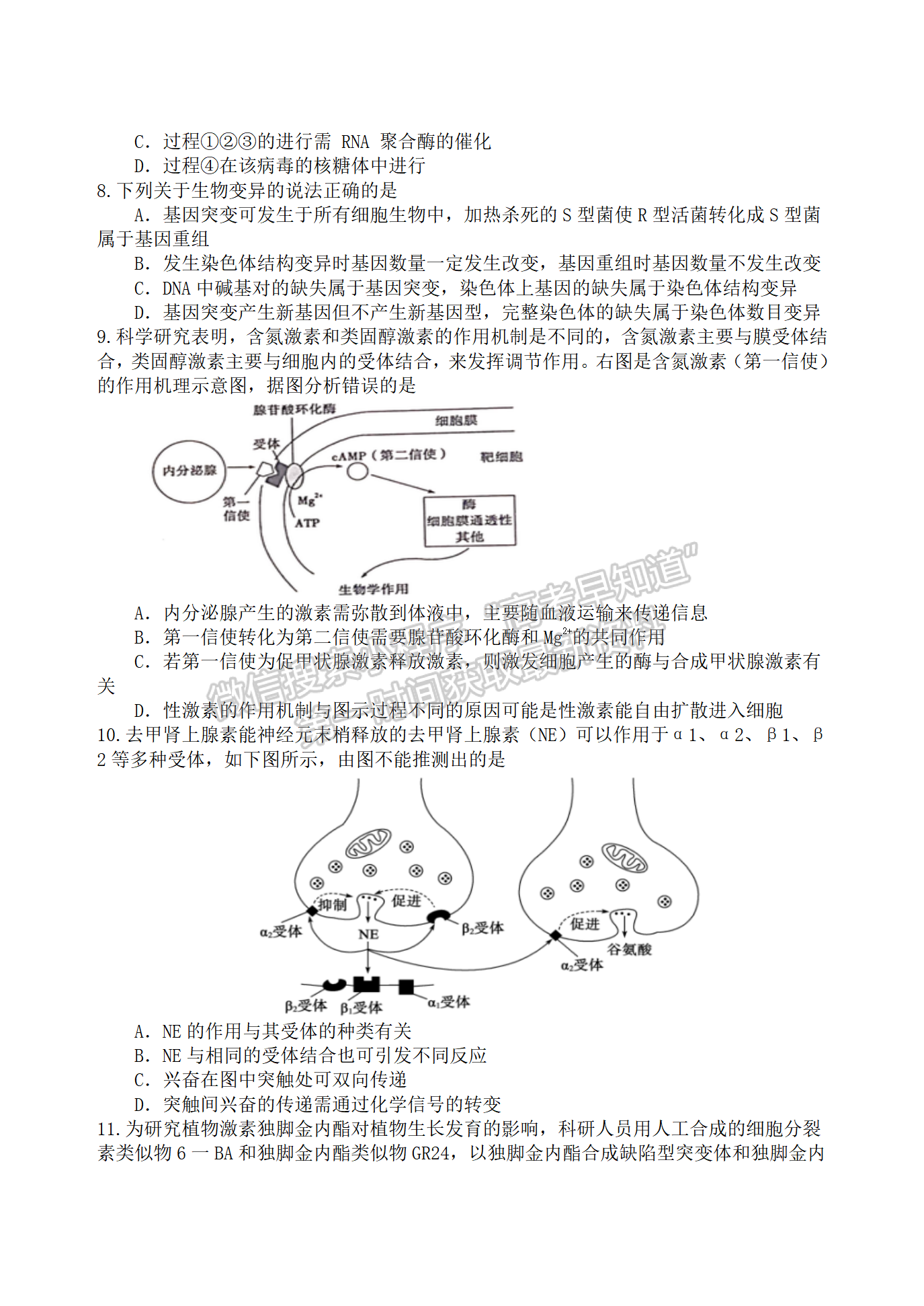 2022屆江蘇揚州高郵市高三下學期期初學情調研生物試題及答案