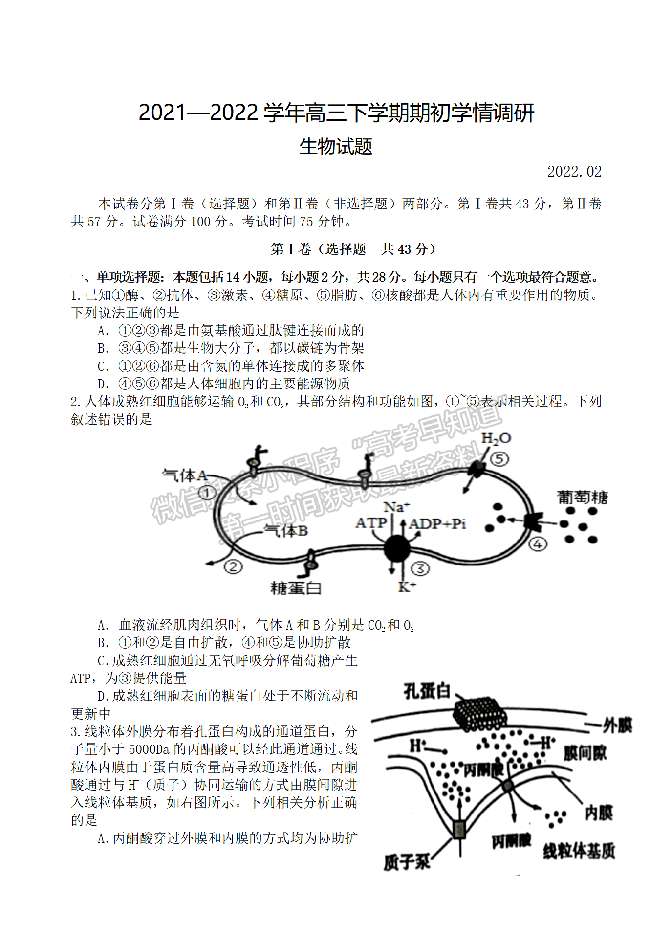 2022屆江蘇揚(yáng)州高郵市高三下學(xué)期期初學(xué)情調(diào)研生物試題及答案