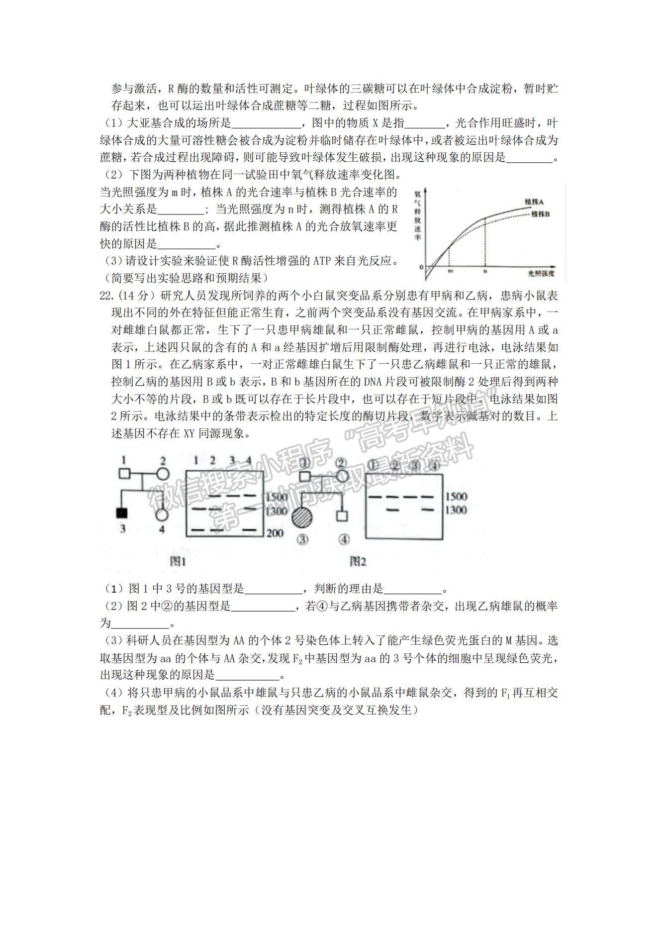 2022屆山東省濟南十一校高三2月聯(lián)考生物試題及參考答案