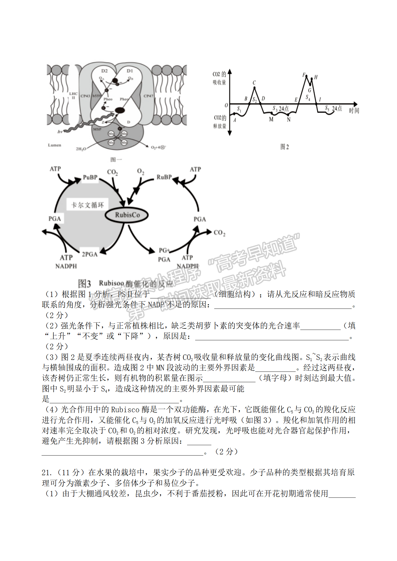 2022屆江蘇揚州高郵市高三下學期期初學情調(diào)研生物試題及答案