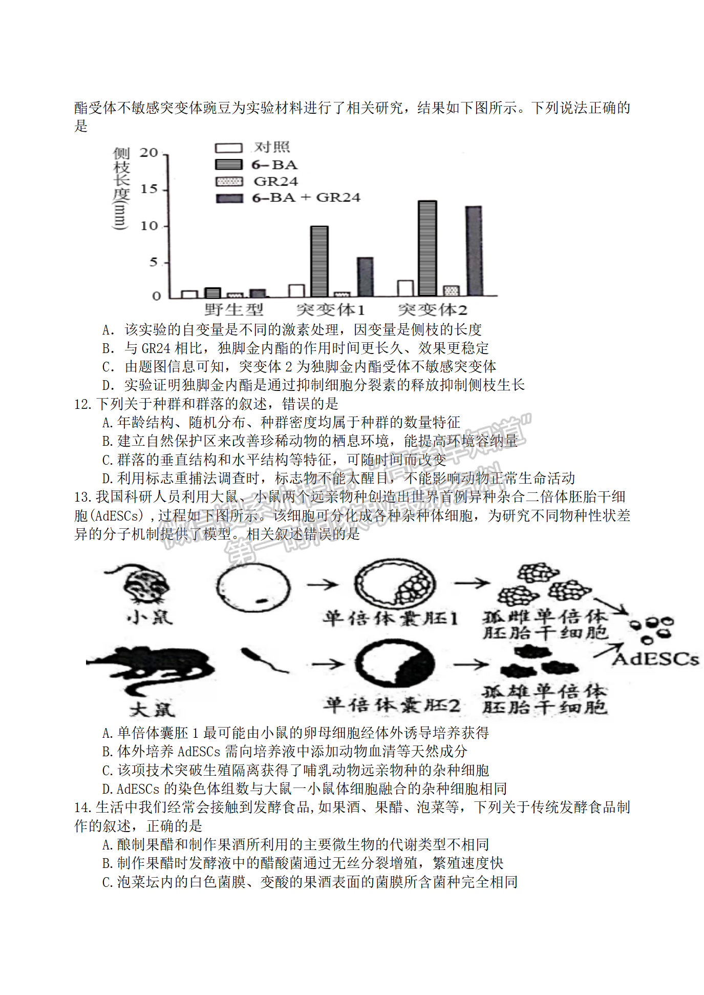 2022屆江蘇揚州高郵市高三下學期期初學情調研生物試題及答案