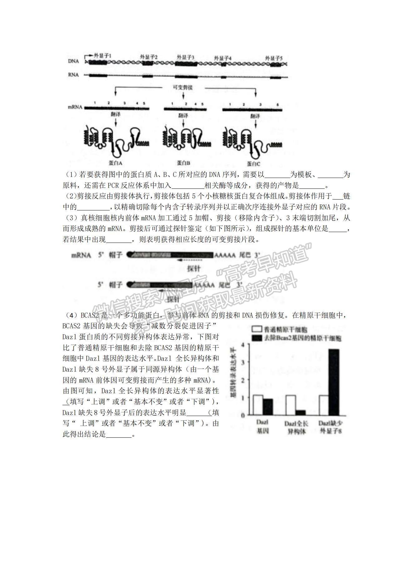 2022屆山東省濟(jì)南十一校高三2月聯(lián)考生物試題及參考答案