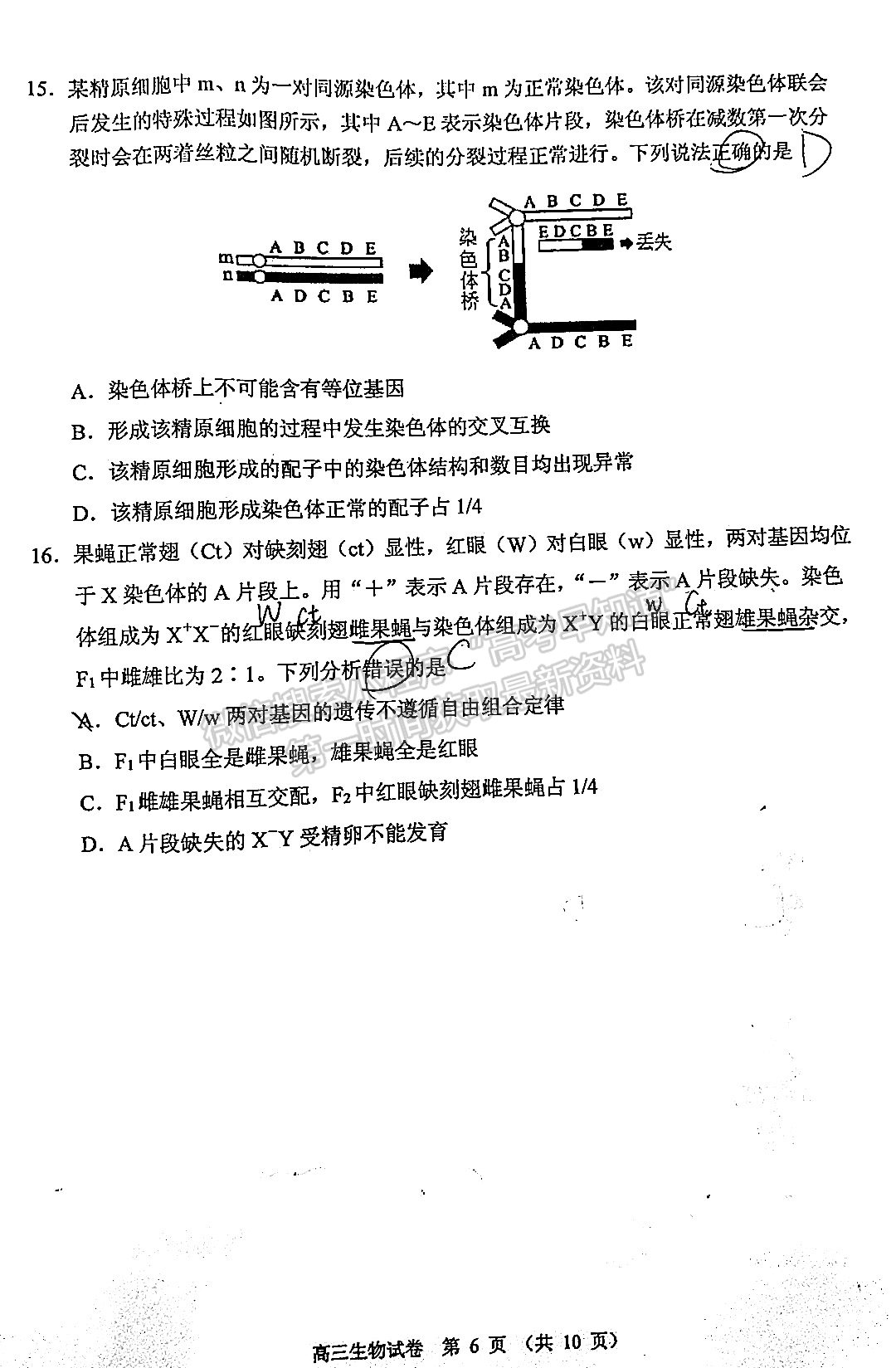 2022順德二模生物試題及參考答案