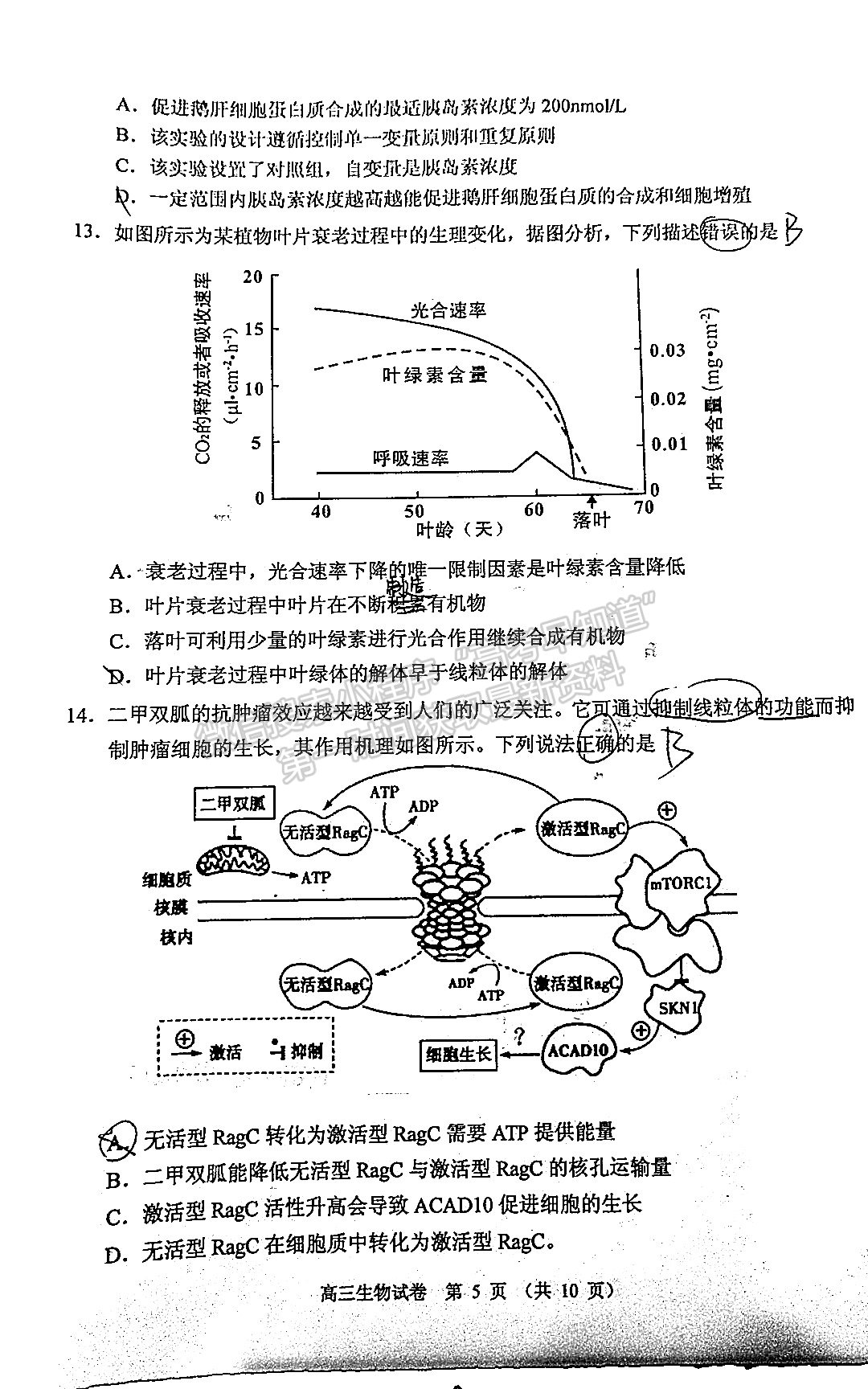 2022順德二模生物試題及參考答案