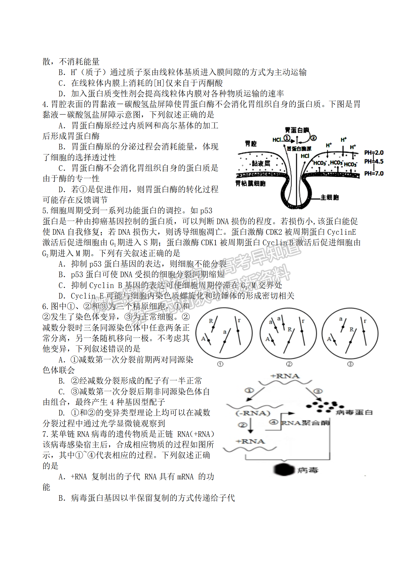 2022屆江蘇揚州高郵市高三下學期期初學情調研生物試題及答案