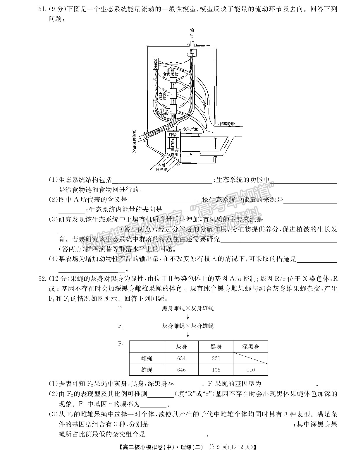 2022江西南昌高三下學(xué)期核心模擬卷（中）理綜試卷及參考答案