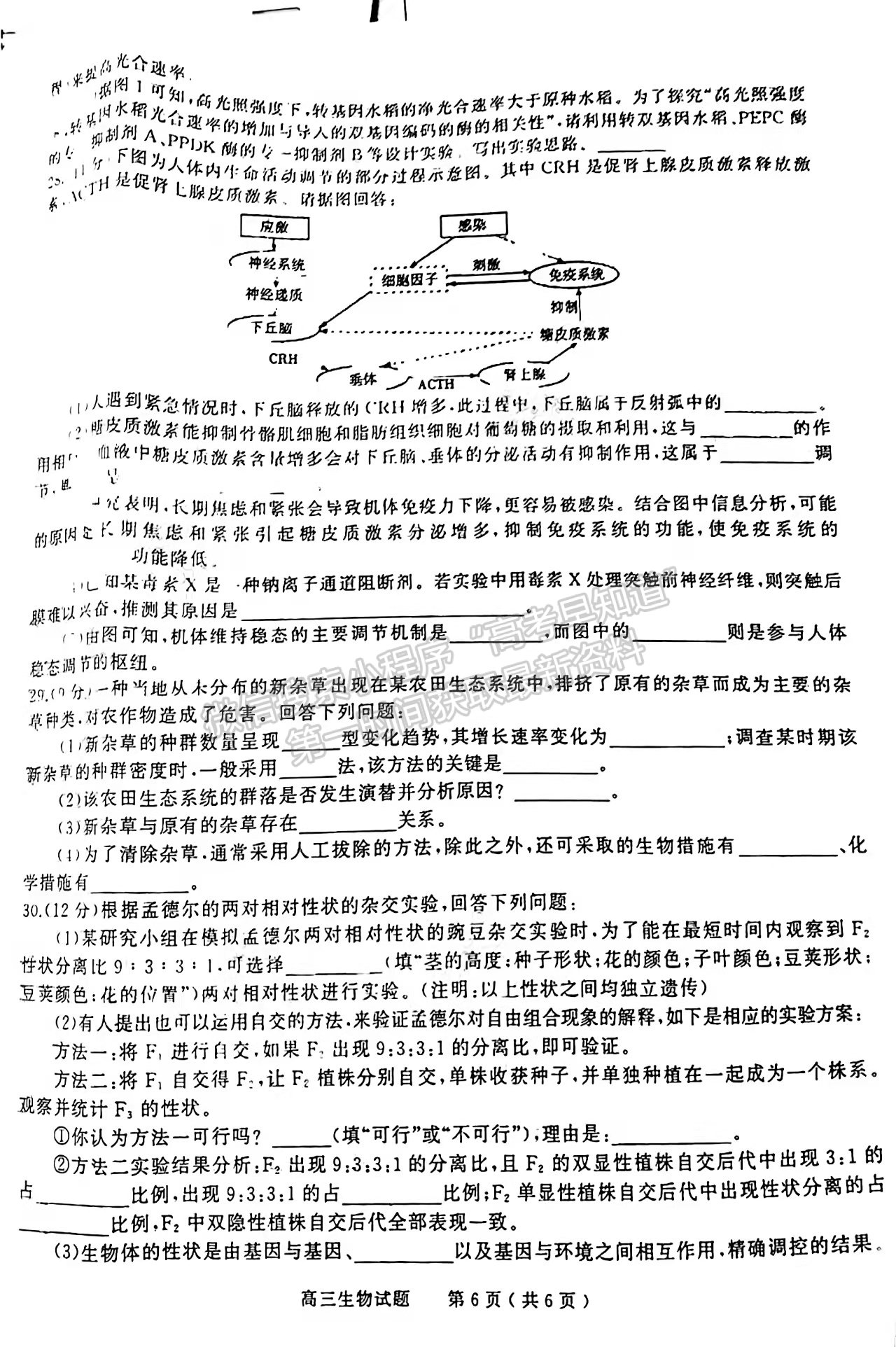 2022河南信陽二模生物試題及參考答案