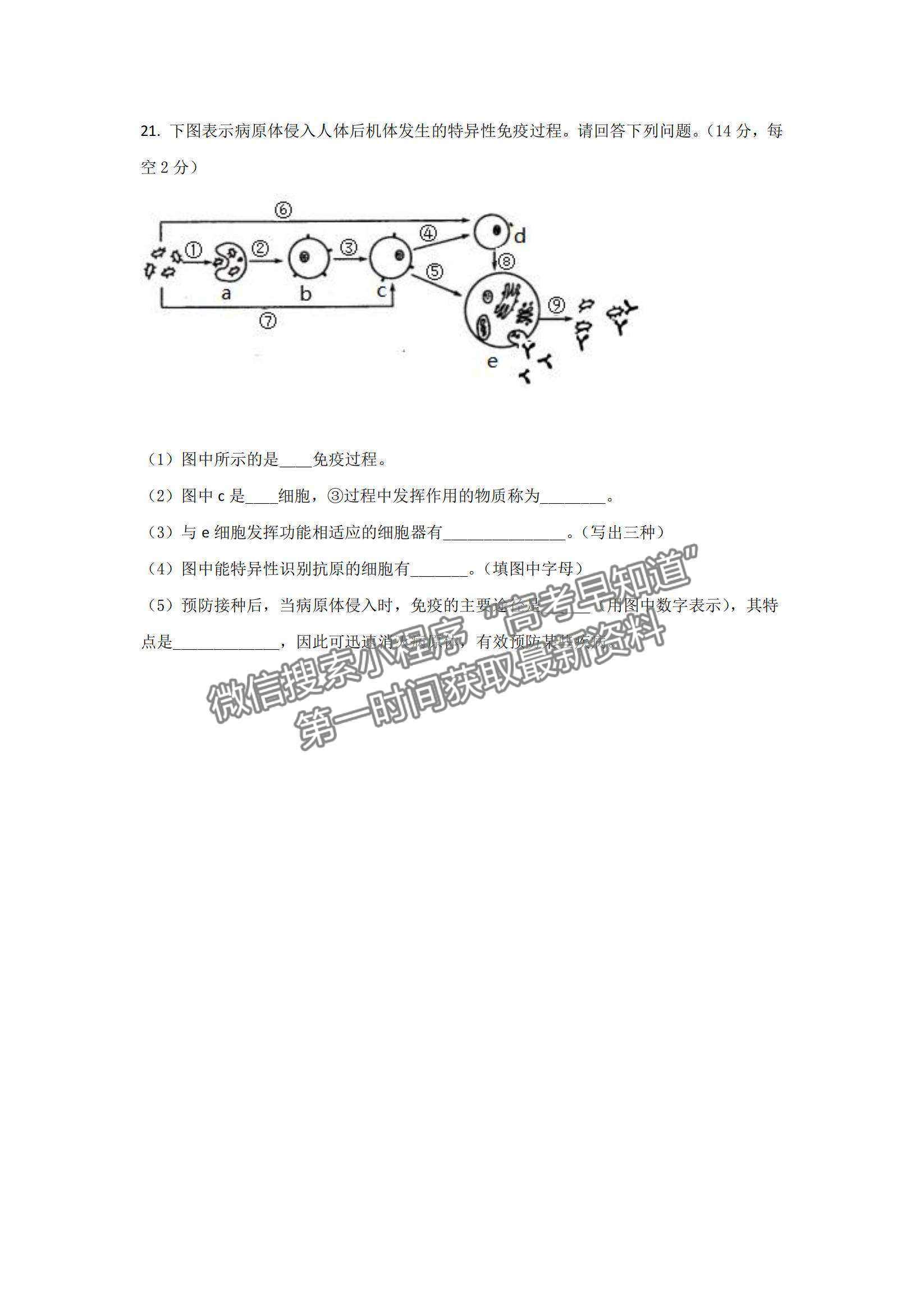 2022湖南省懷化市第五中學(xué)高二上學(xué)期期中考試生物試題及參考答案