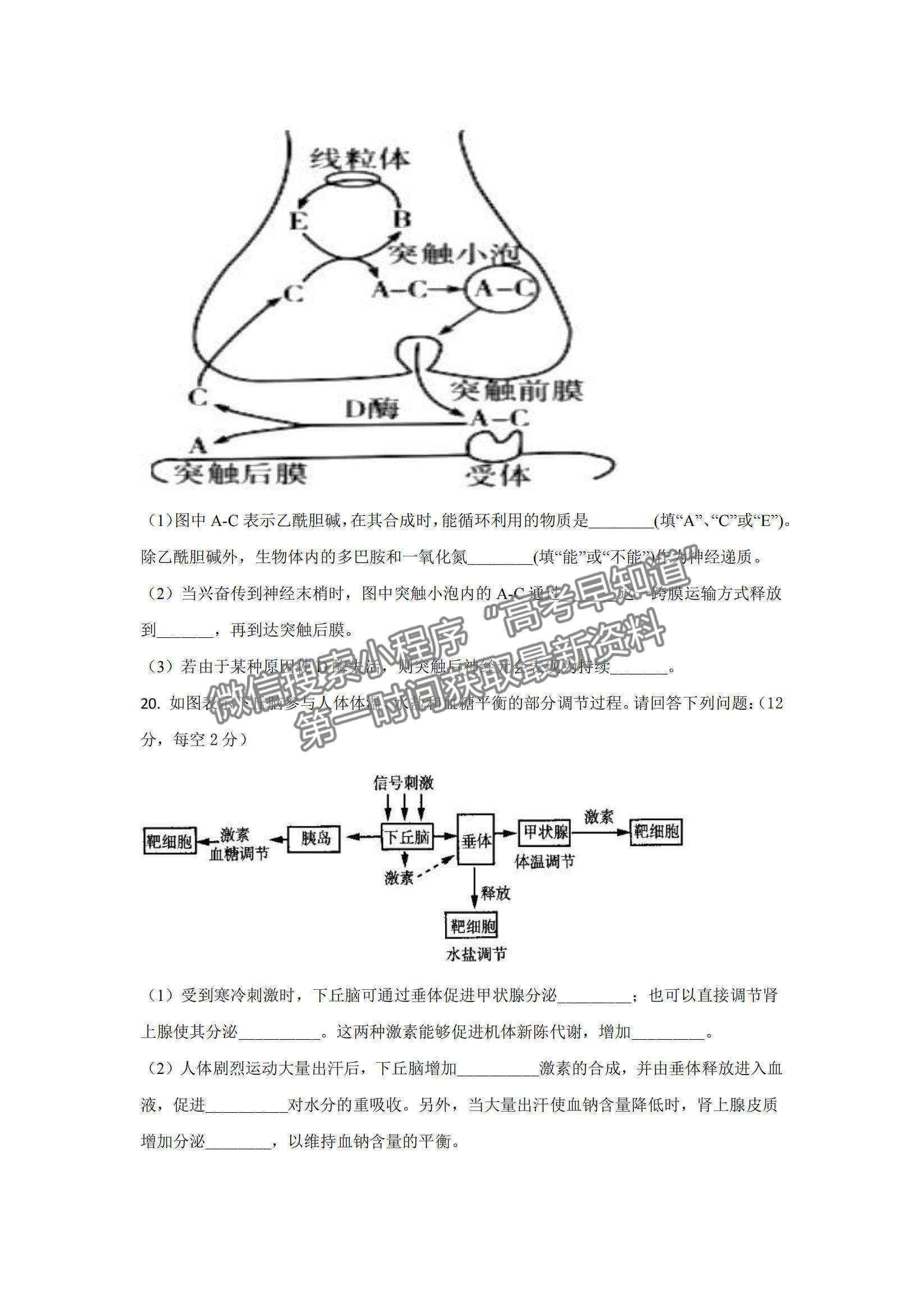 2022湖南省懷化市第五中學(xué)高二上學(xué)期期中考試生物試題及參考答案