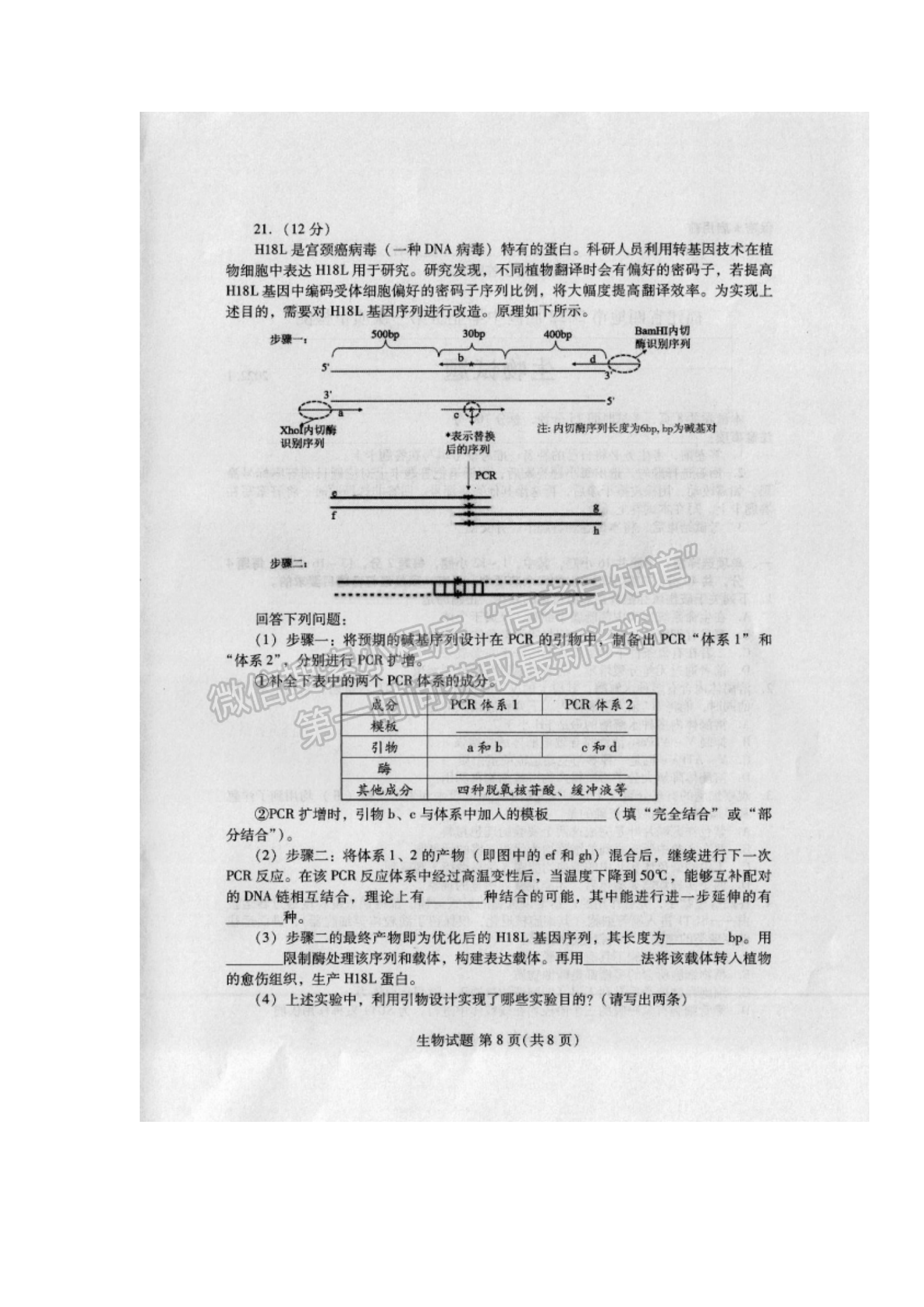 生物-2022年1月福建四市聯(lián)考質(zhì)檢