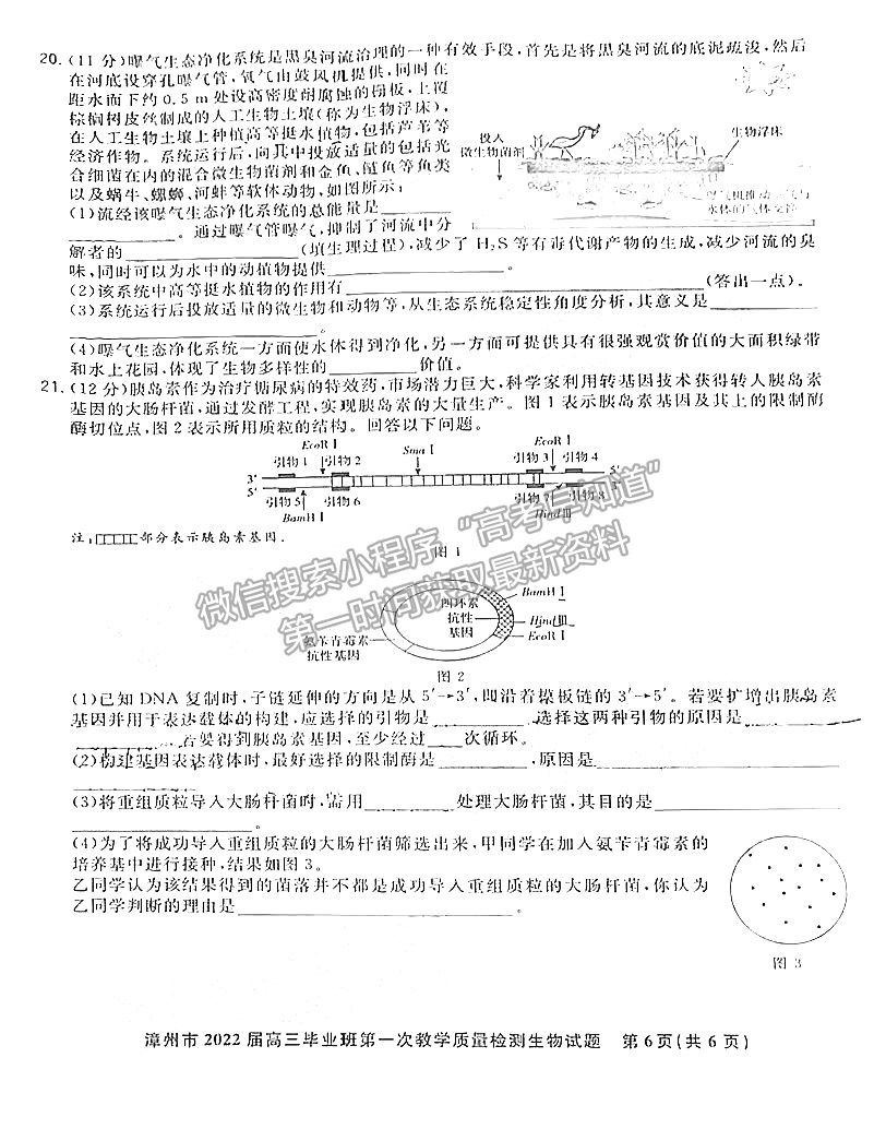 2022年1月漳州高三質(zhì)檢生物試卷答案