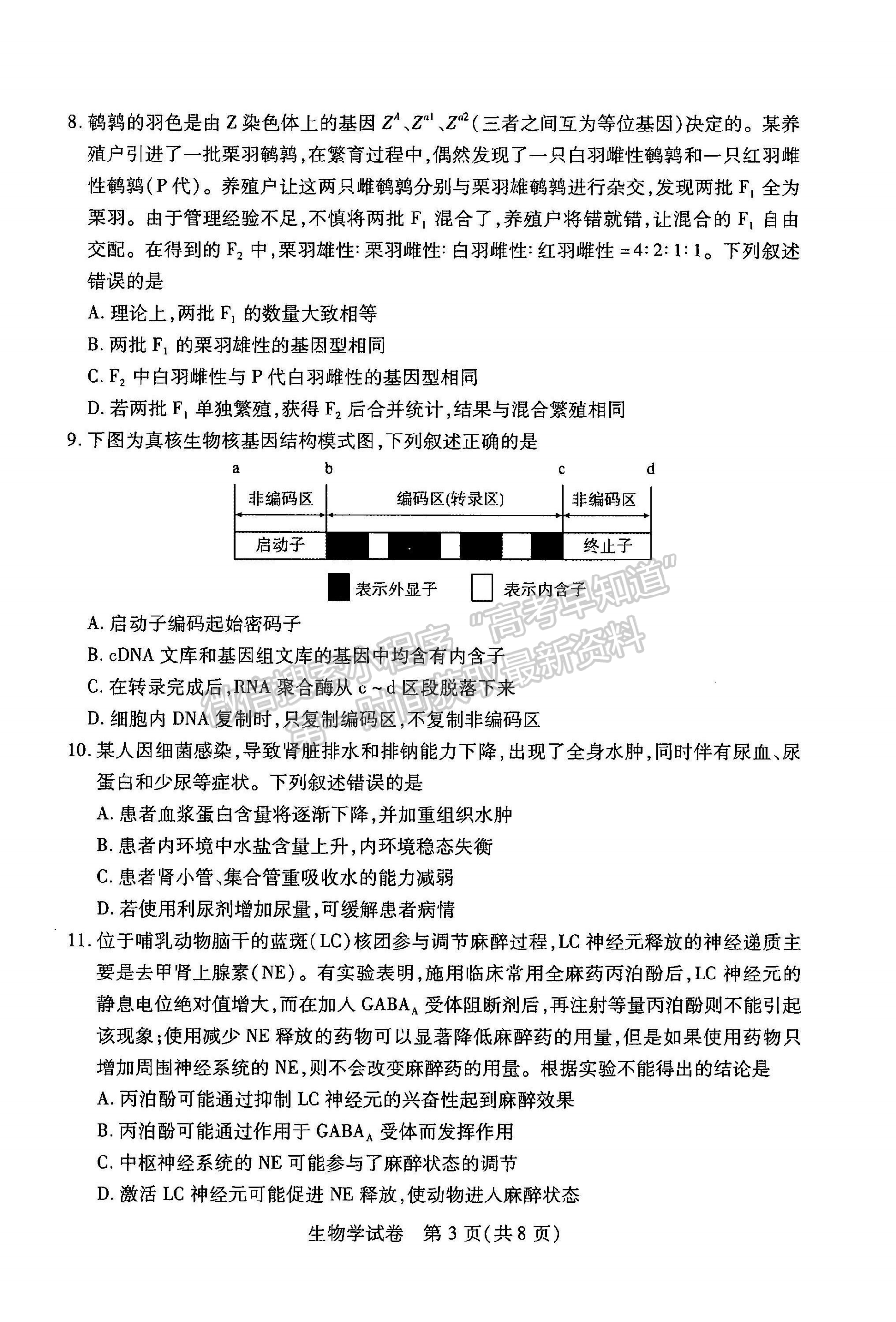 2022湖北武漢二月調研考試生物試卷及答案