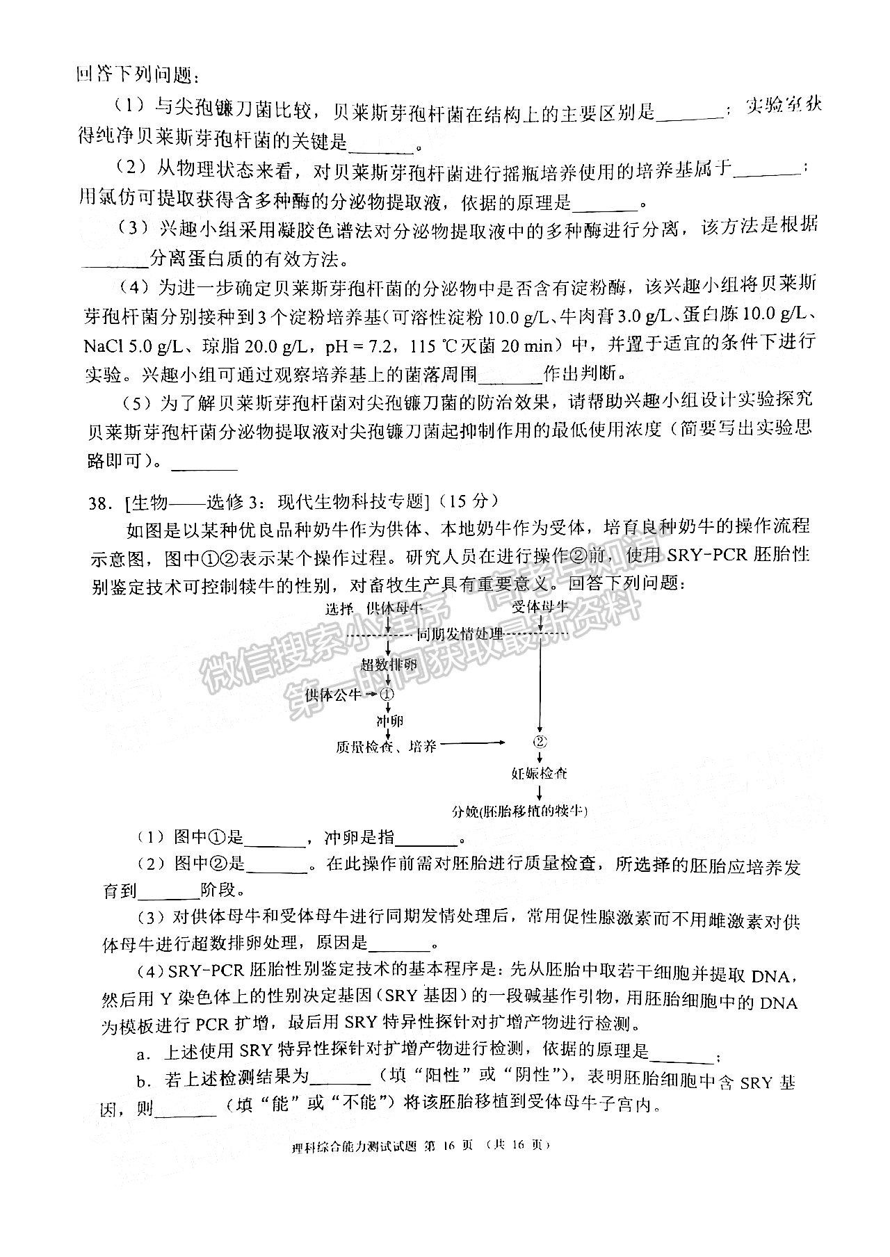 2022蓉城名校聯(lián)盟2019級高三第二次聯(lián)考理科綜合試題