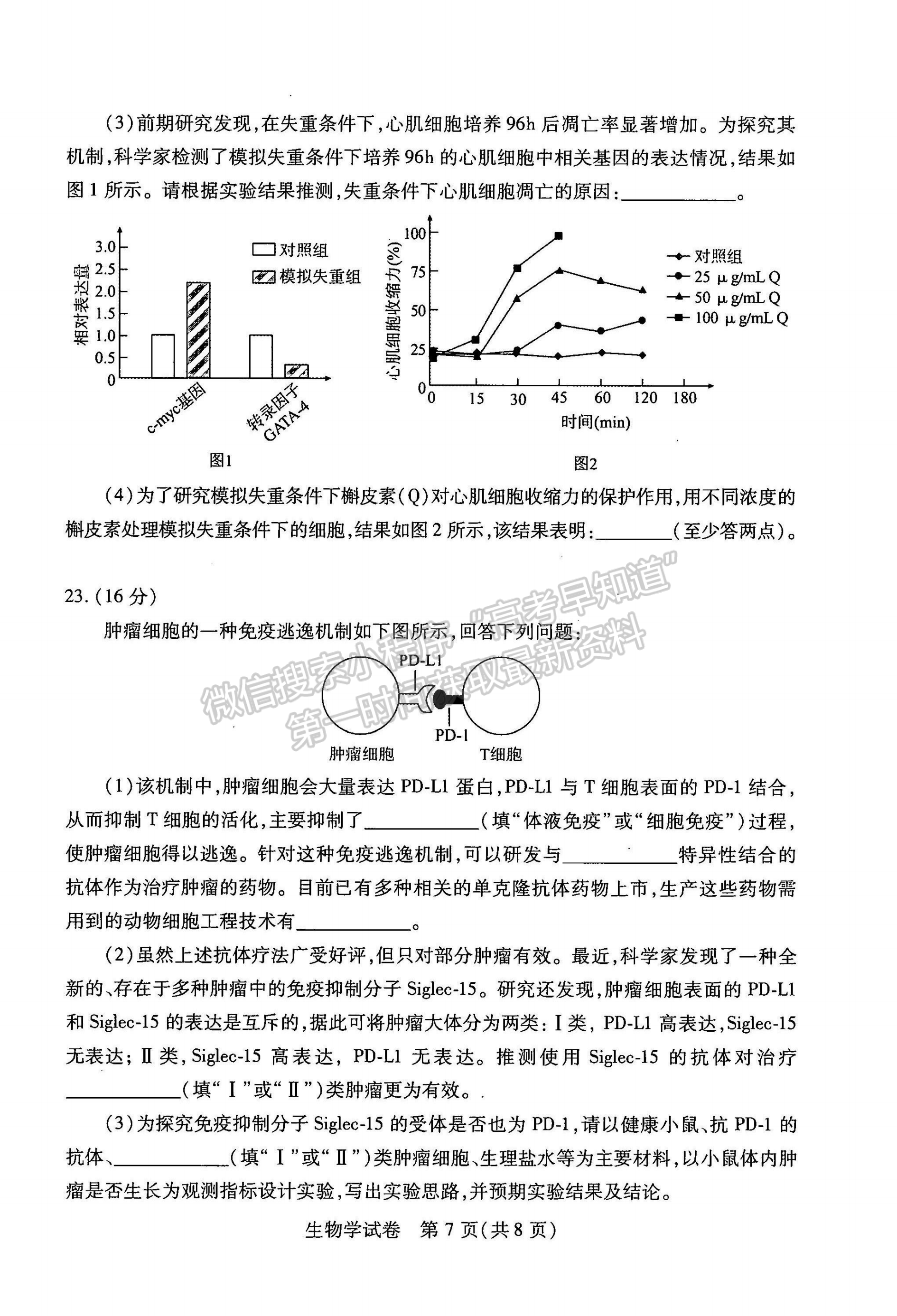 2022湖北武漢二月調(diào)研考試生物試卷及答案