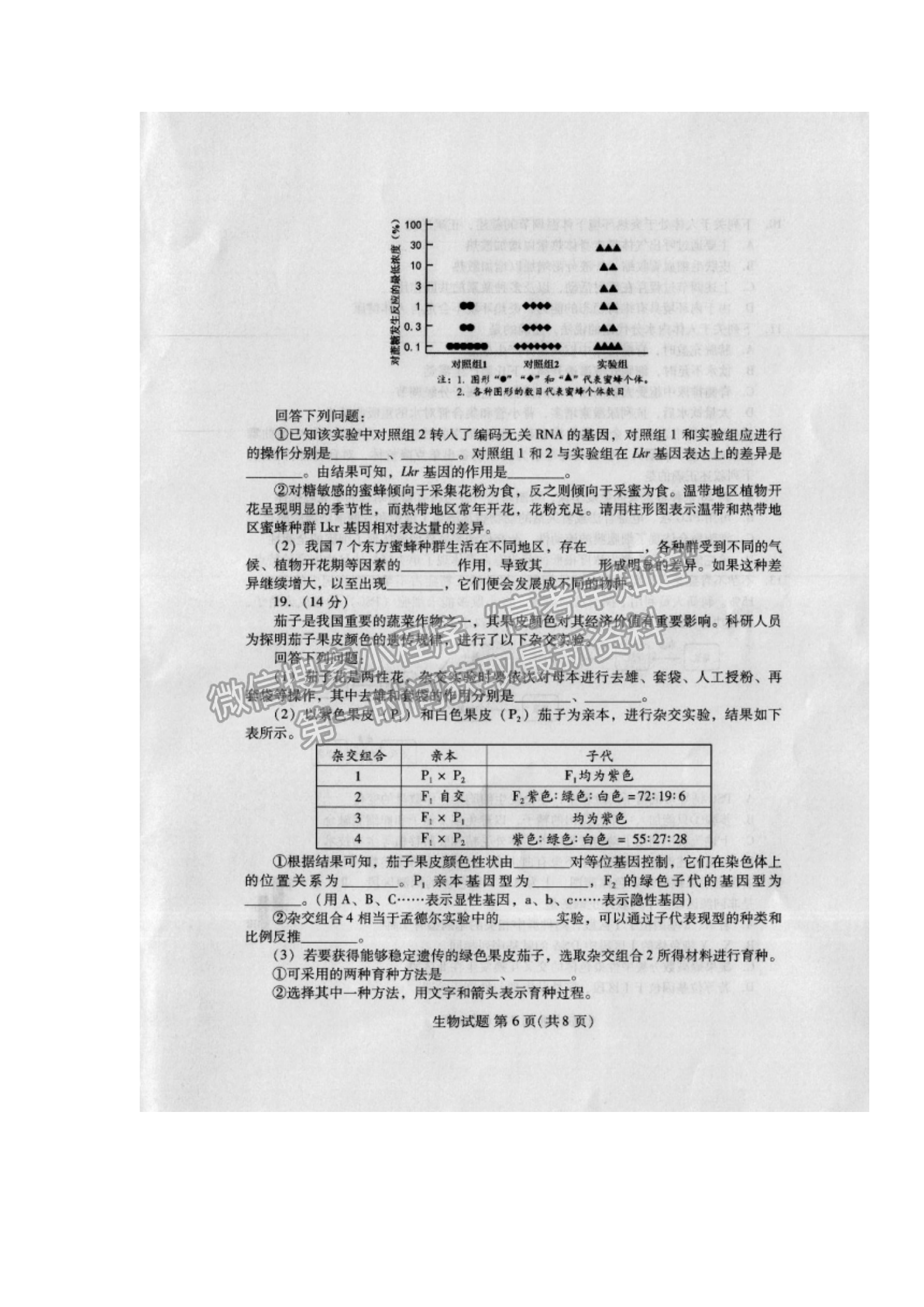 生物-2022年1月福建四市聯(lián)考質(zhì)檢