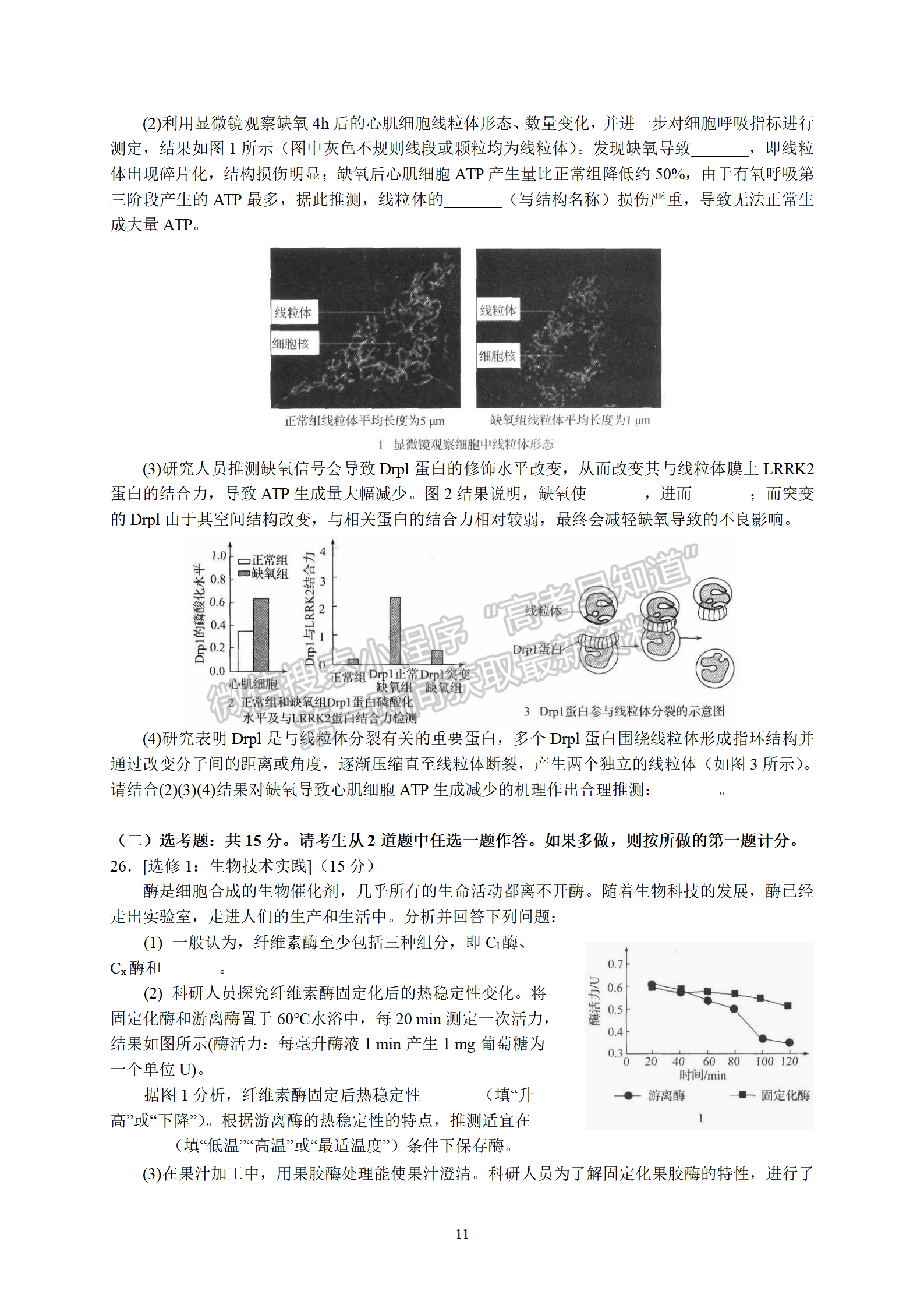 衡水中學(xué)2022屆高三六調(diào)考試生物試卷答案