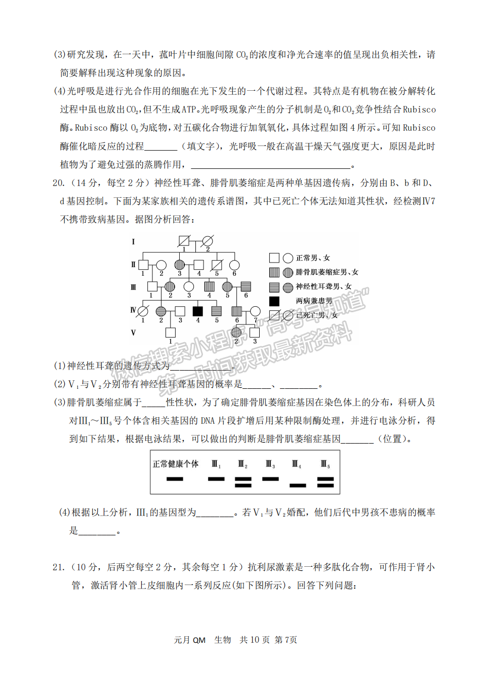 邯鄲一中2022屆高三元月調(diào)研生物試卷答案