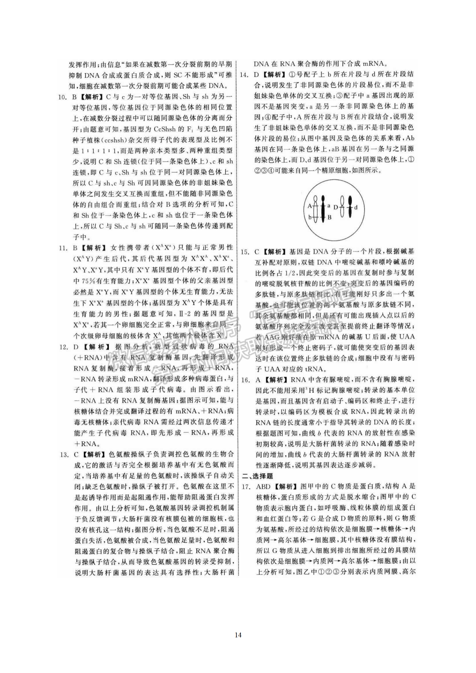 衡水中學(xué)2022屆高三六調(diào)考試生物試卷答案