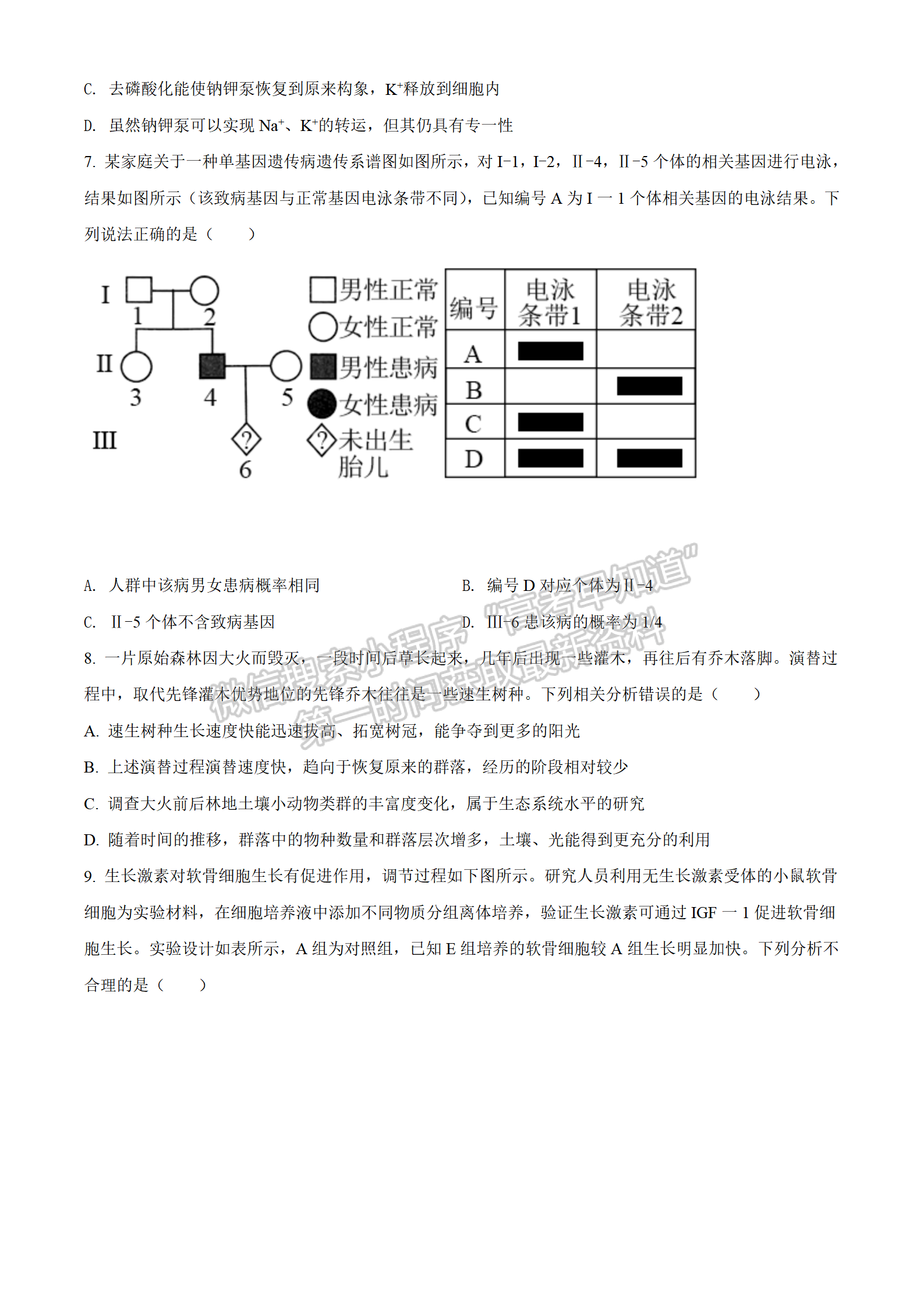 2022湖北江岸區(qū)高三元月調(diào)研考試生物試卷及答案