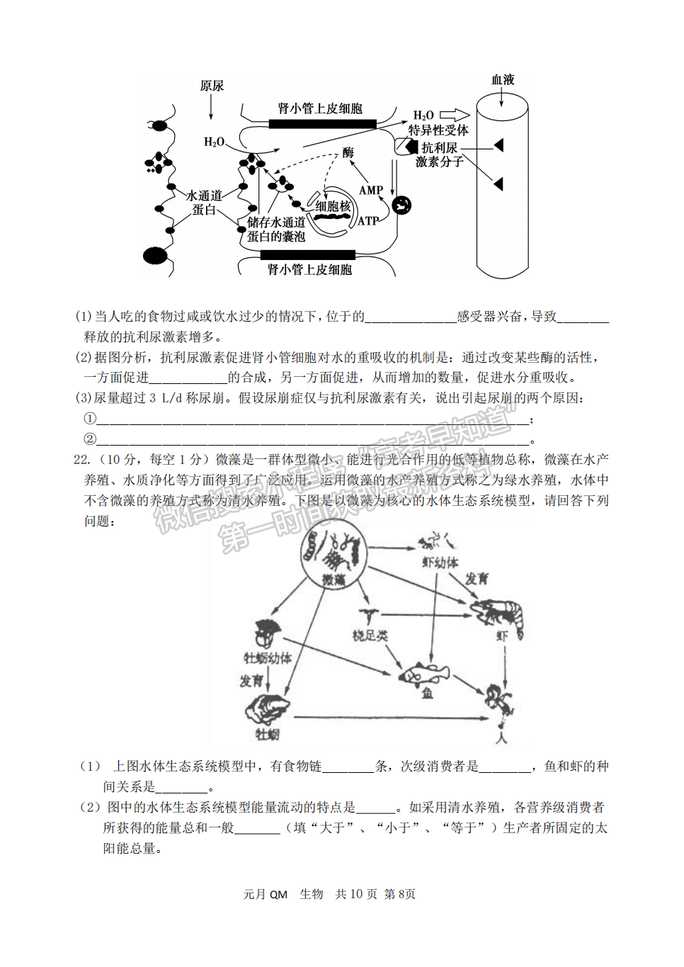 邯鄲一中2022屆高三元月調(diào)研生物試卷答案