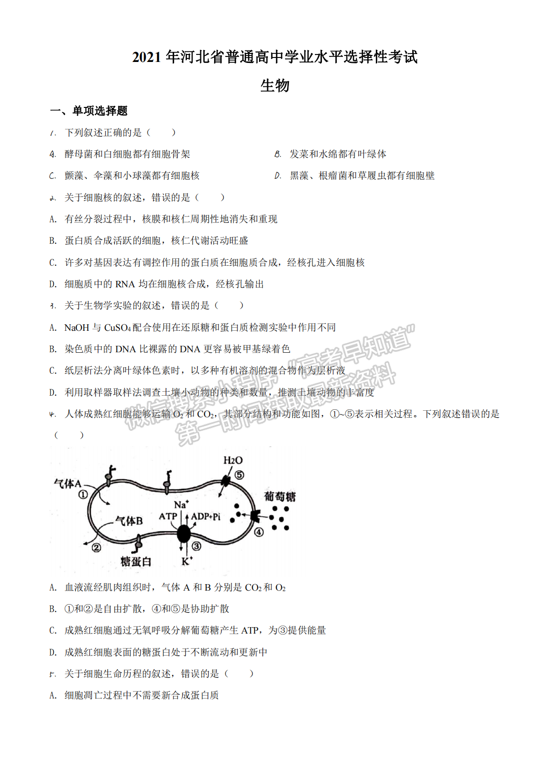 2021年河北高考生物真題