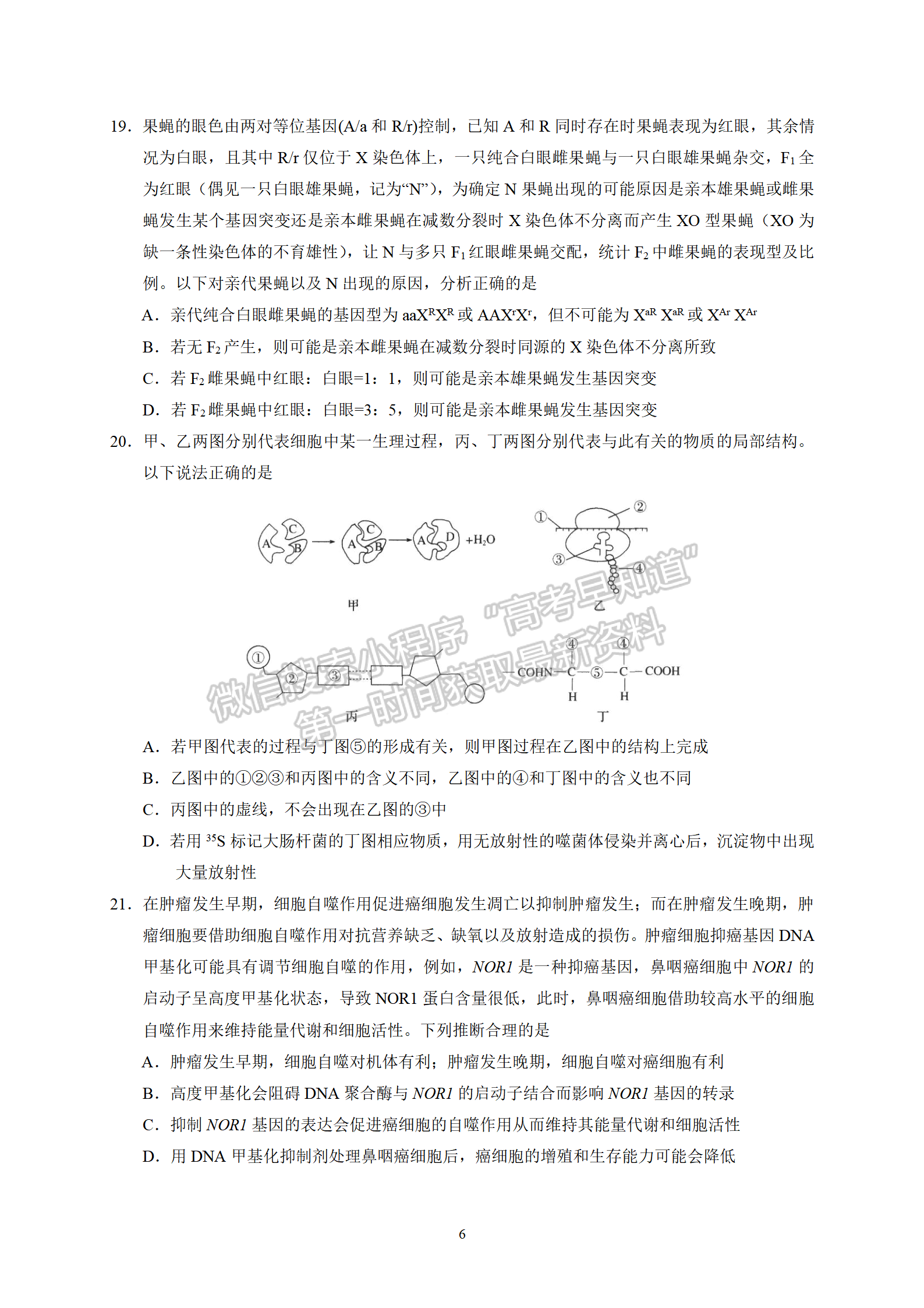 衡水中學(xué)2022屆高三六調(diào)考試生物試卷答案