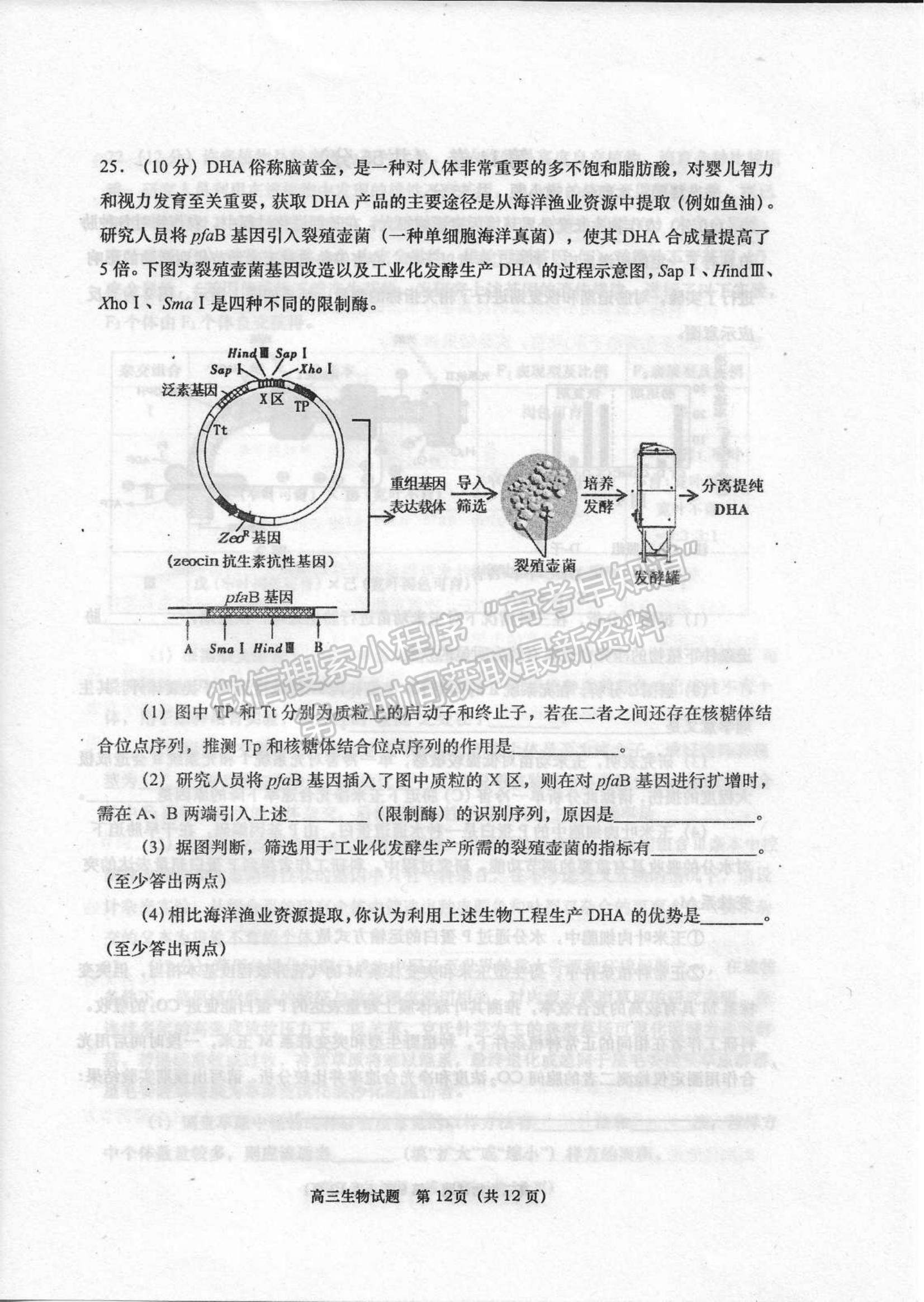 山東省青島四區(qū)2021-2022學(xué)年高三上學(xué)期期末考試生物試題及參考答案