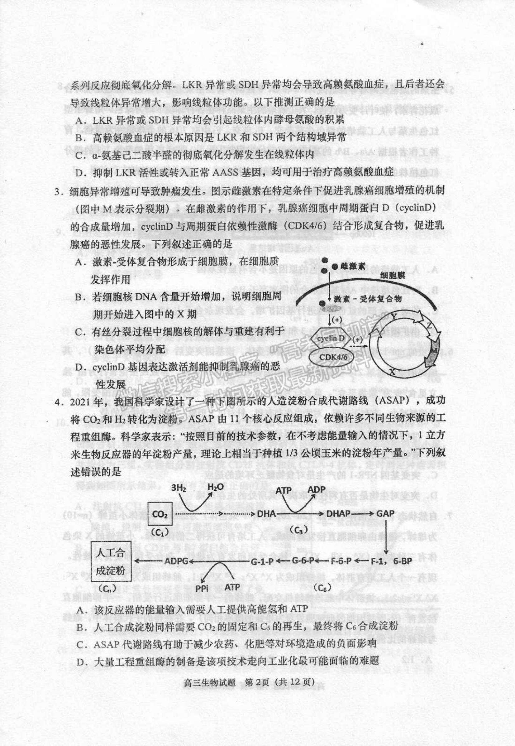 山東省青島四區(qū)2021-2022學年高三上學期期末考試生物試題及參考答案