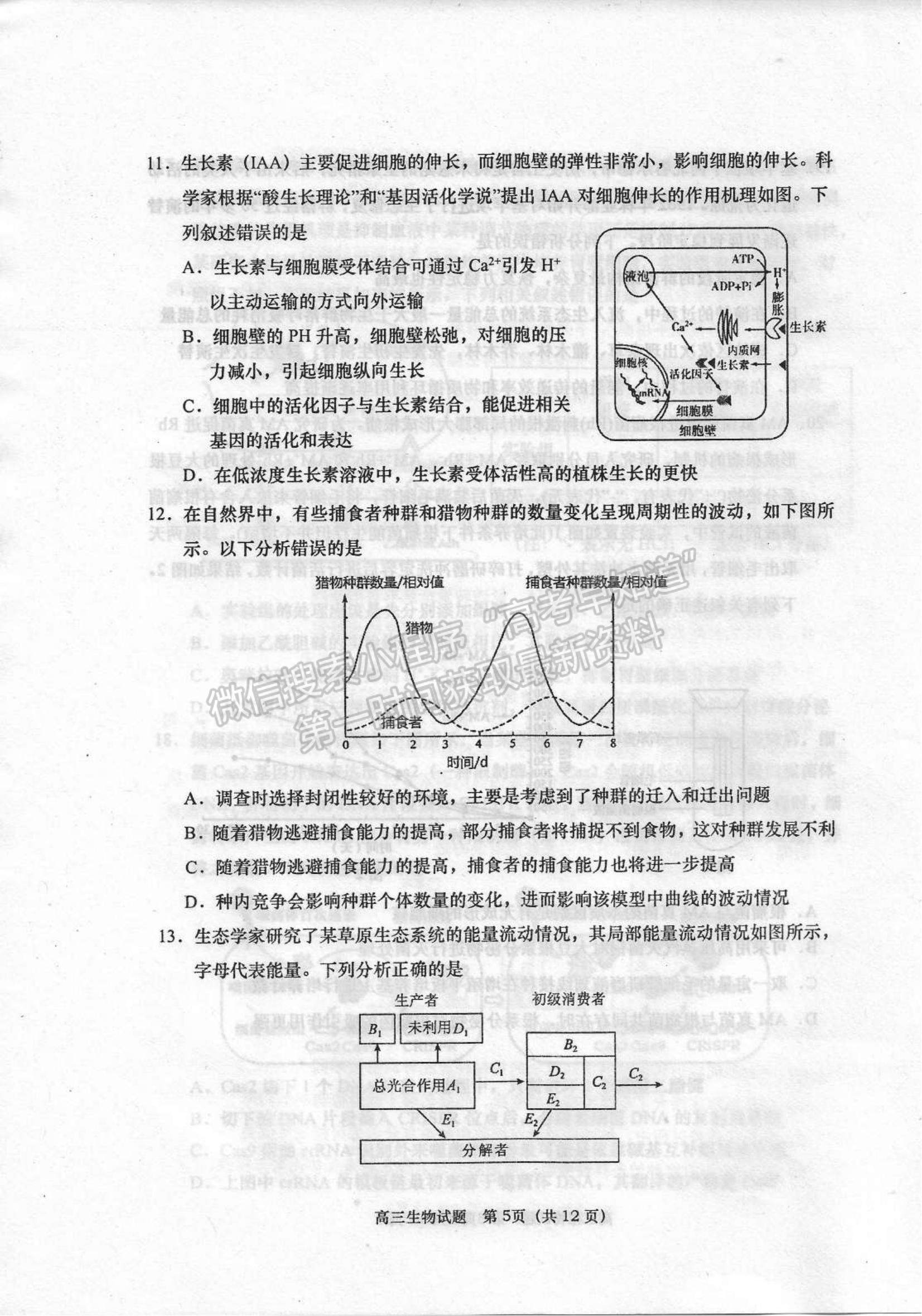 山東省青島四區(qū)2021-2022學(xué)年高三上學(xué)期期末考試生物試題及參考答案