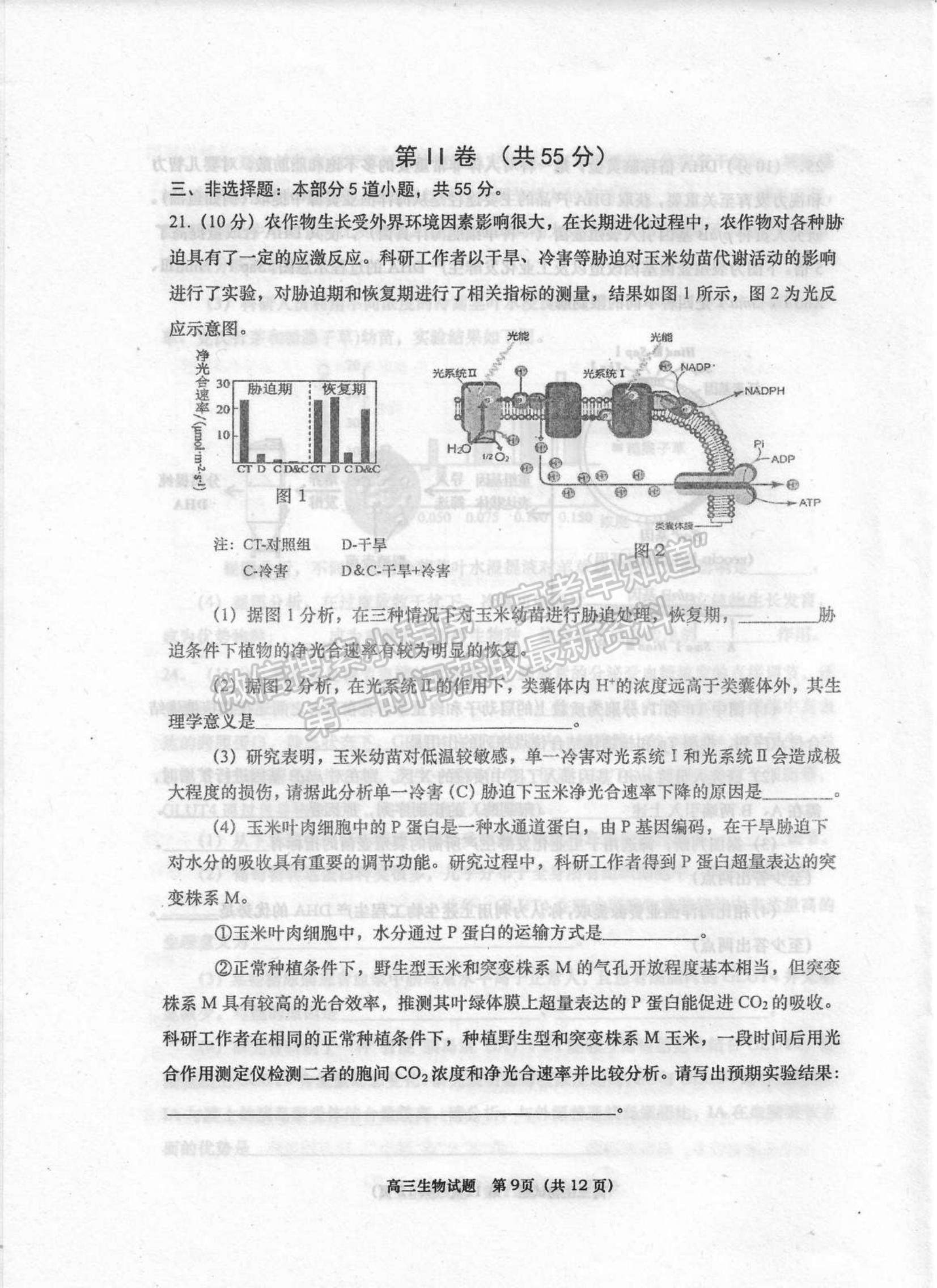 山東省青島四區(qū)2021-2022學(xué)年高三上學(xué)期期末考試生物試題及參考答案