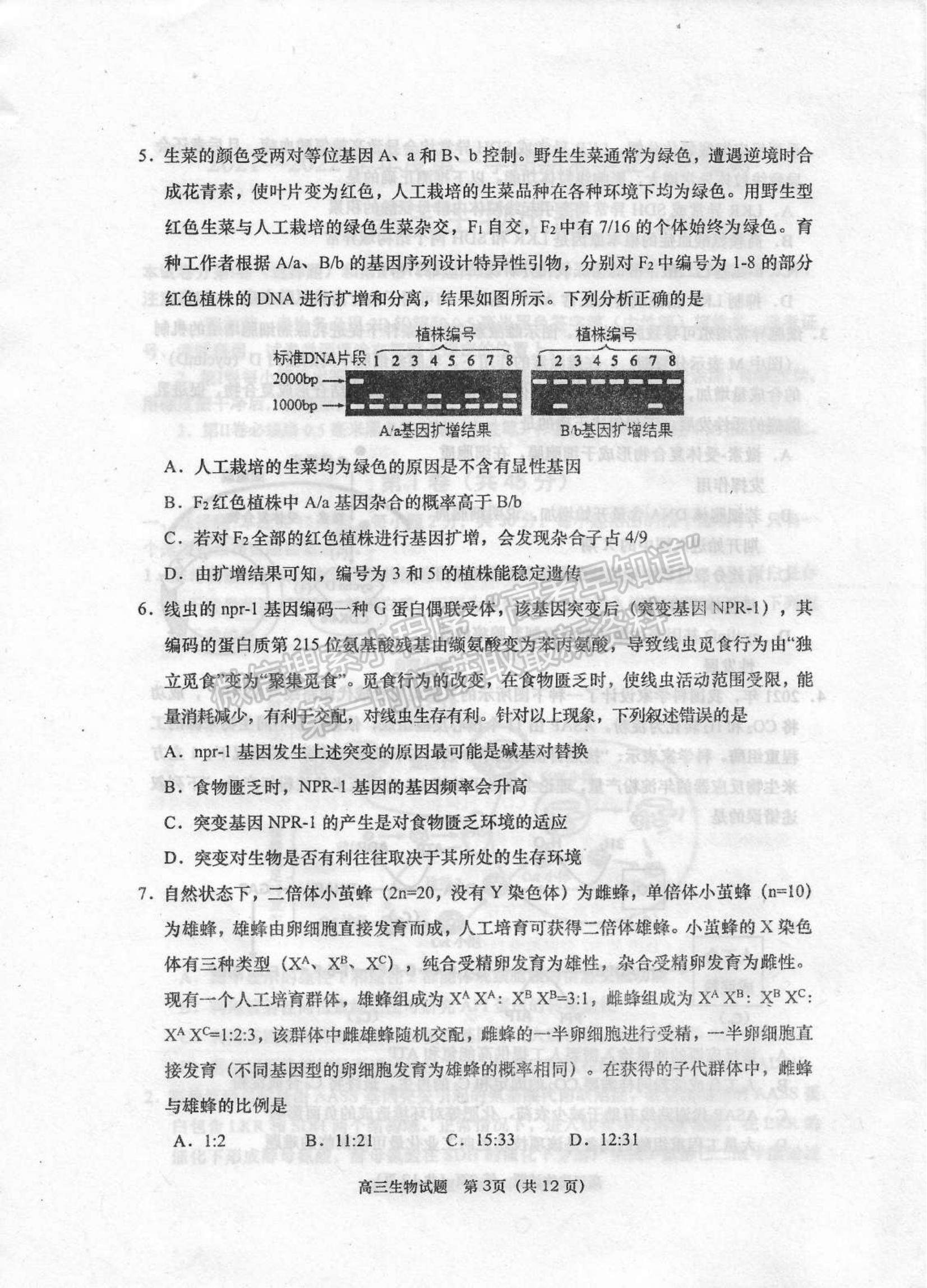 山東省青島四區(qū)2021-2022學年高三上學期期末考試生物試題及參考答案