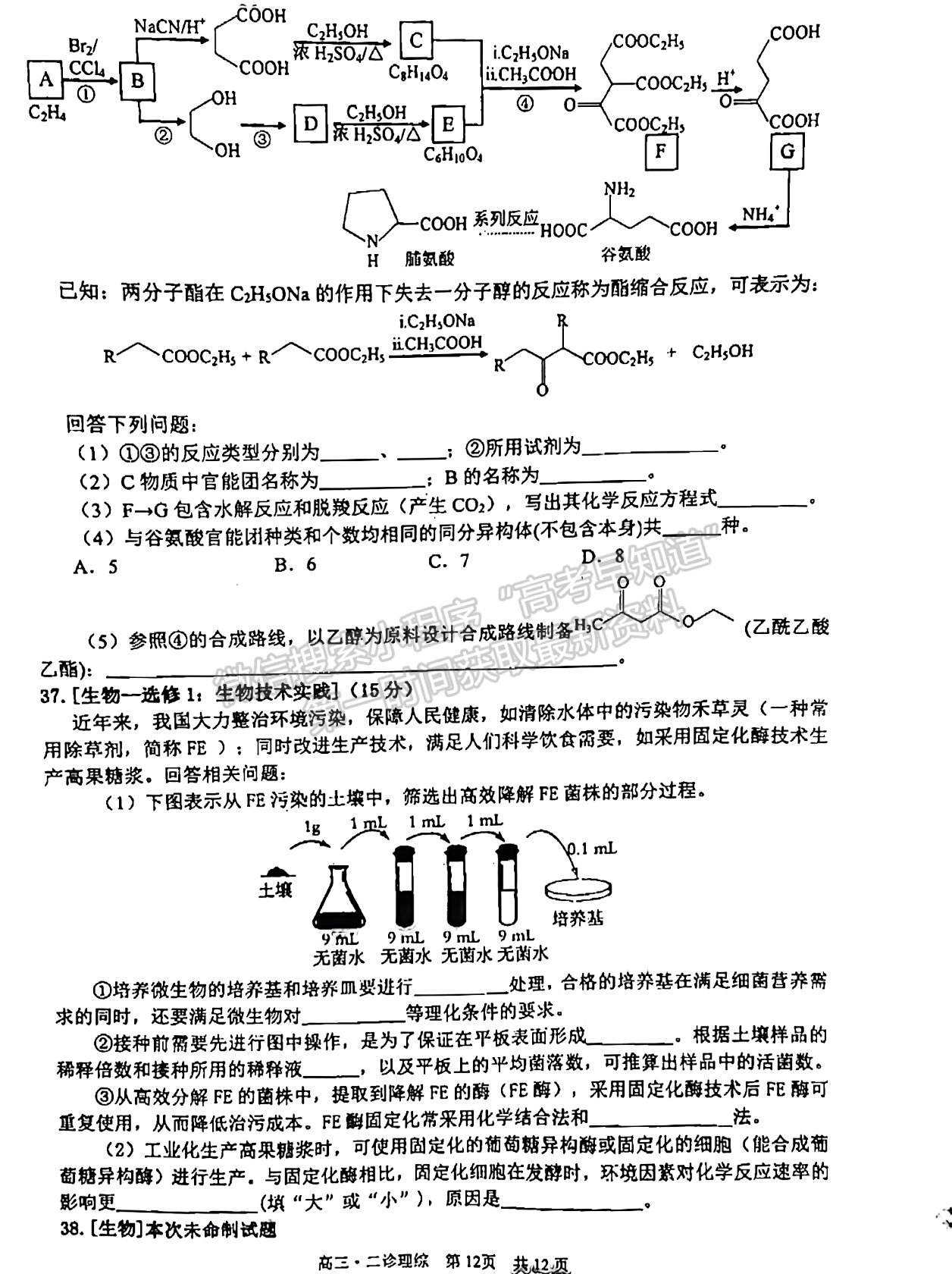 2022四川省瀘州市高2019級(jí)第二次教學(xué)質(zhì)量診斷考試?yán)砜凭C合試題及答案