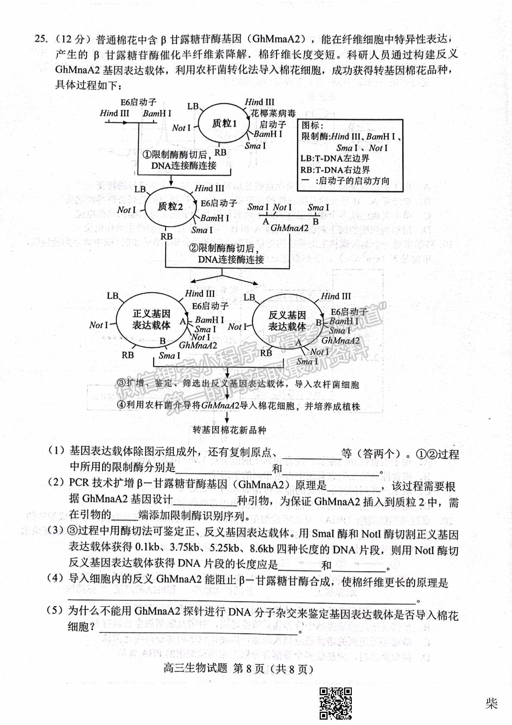 2022届山东省菏泽市高三第一次模拟考试（一模）生物试题及参考答案