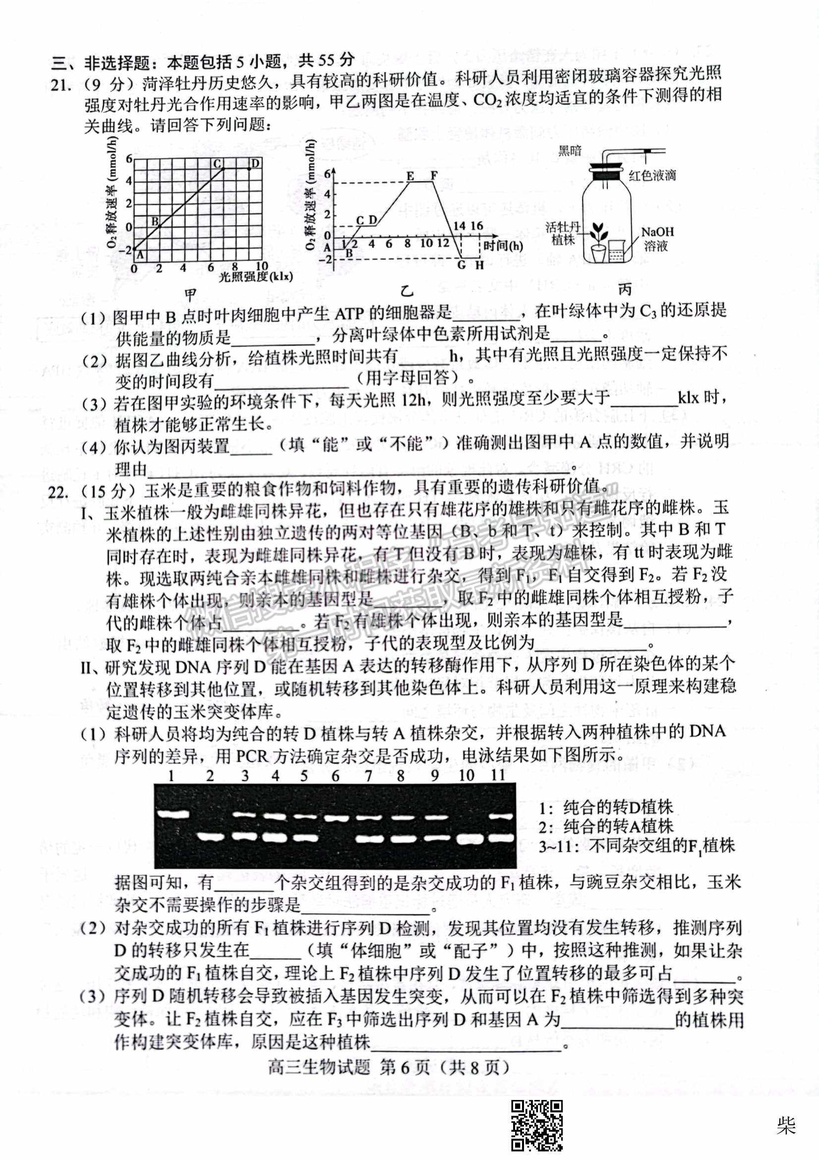 2022届山东省菏泽市高三第一次模拟考试（一模）生物试题及参考答案