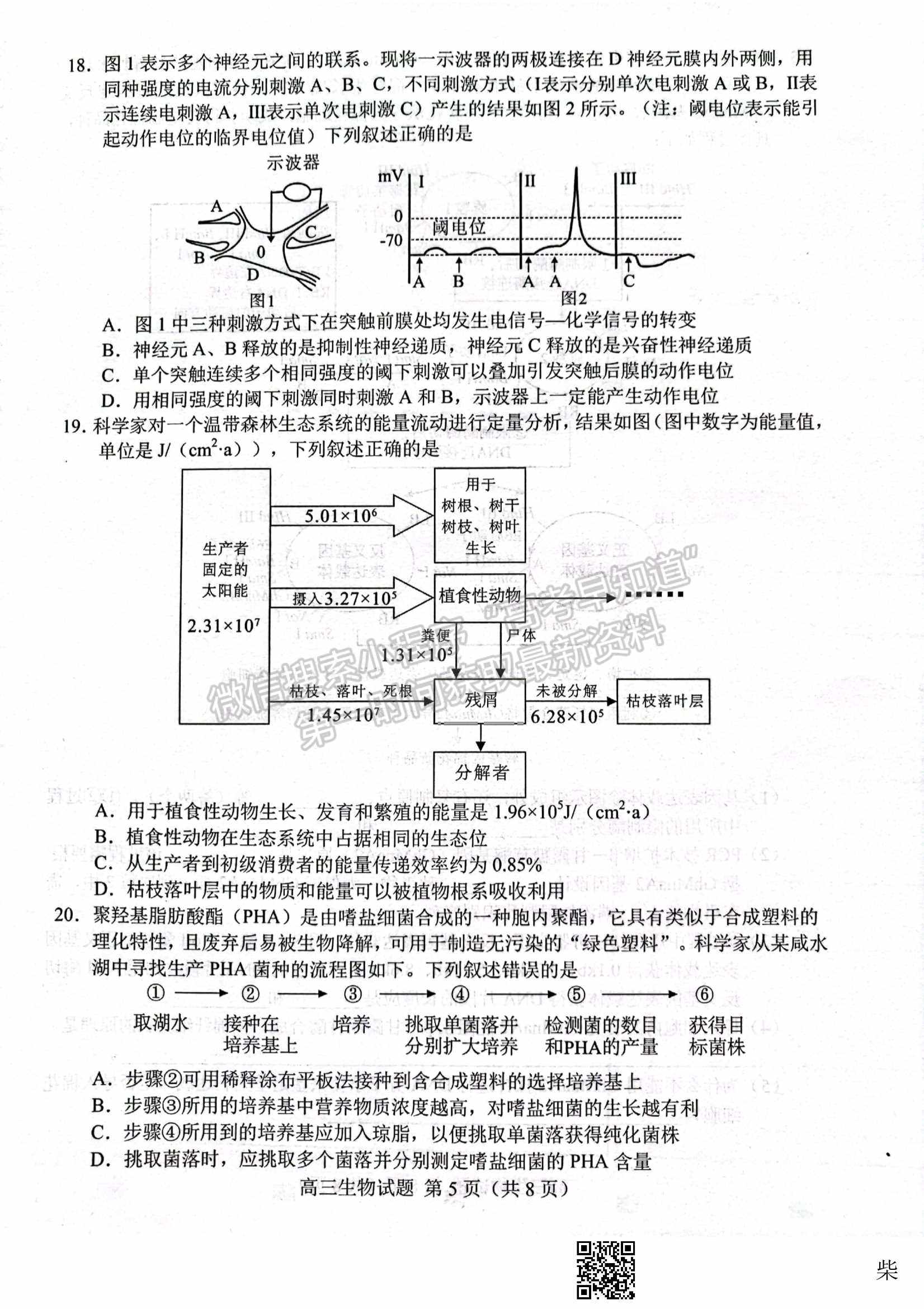 2022届山东省菏泽市高三第一次模拟考试（一模）生物试题及参考答案