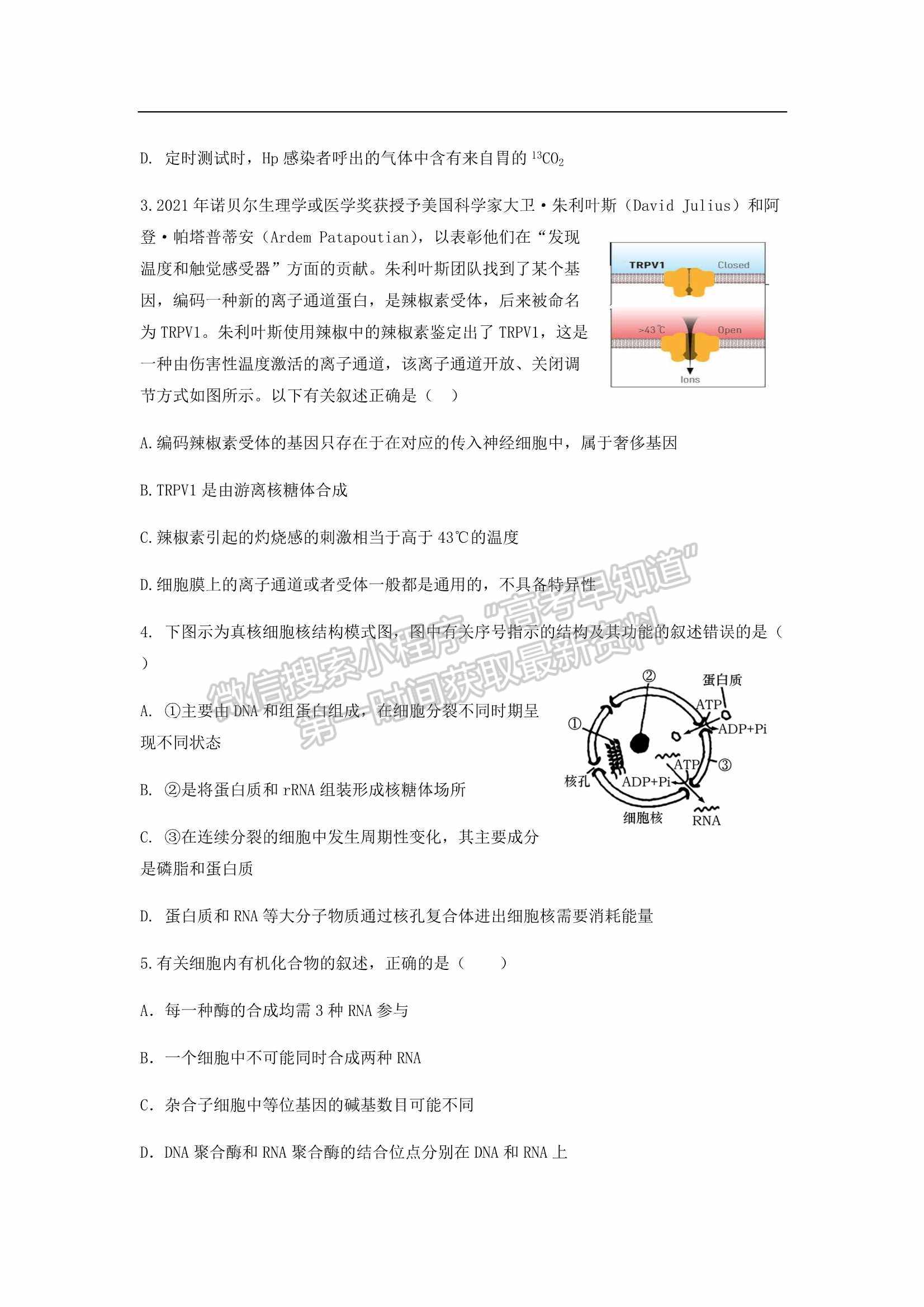 2022屆廣東省深圳外國語學校高三第二次檢測考試生物試卷及參考答案