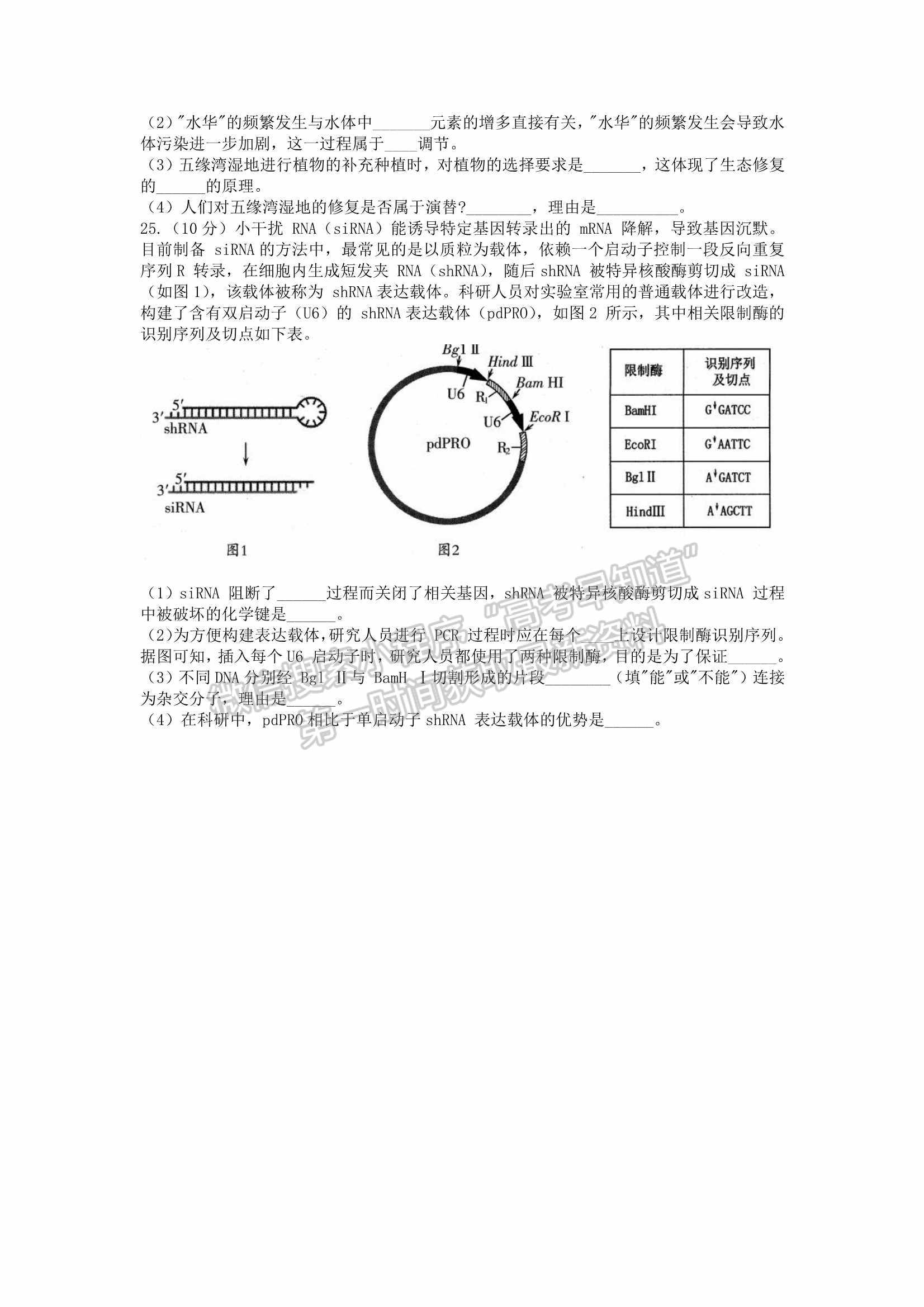 2022山東濰坊一模生物試題及參考答案(全)