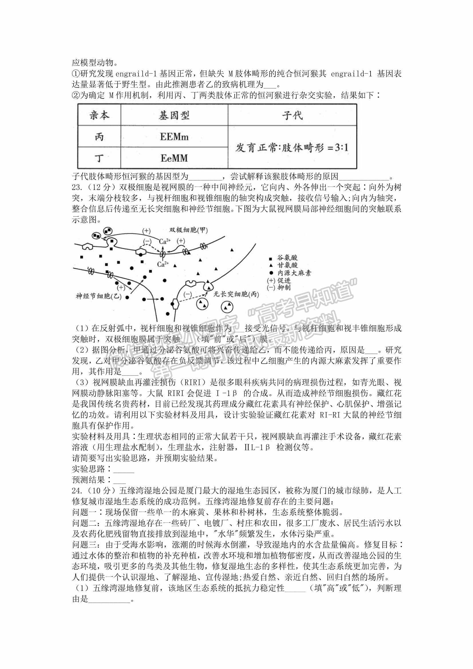 2022山東濰坊一模生物試題及參考答案(全)